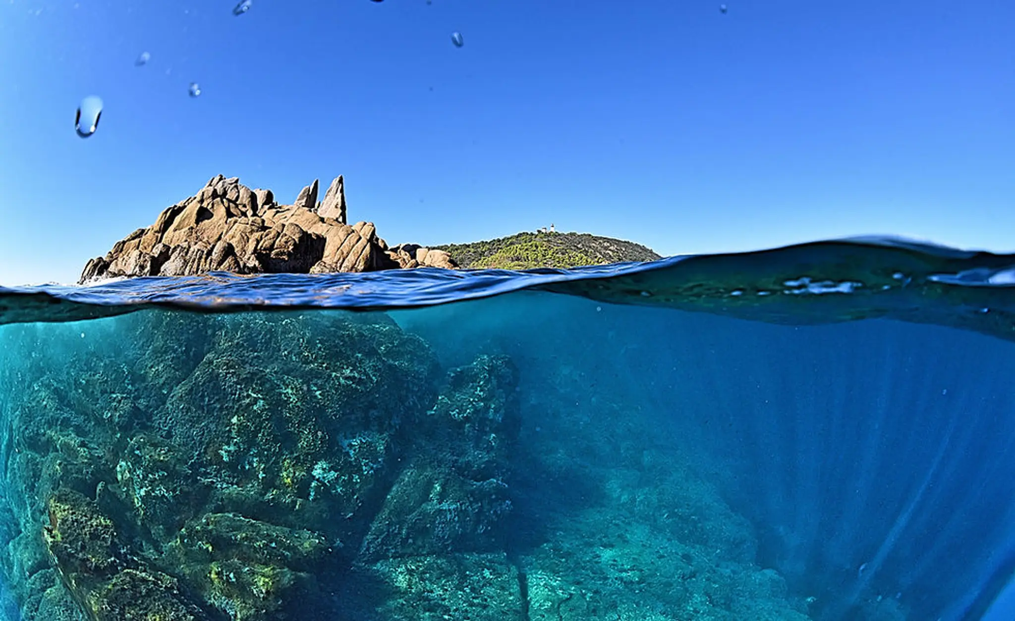 Cap Camarat Plongée