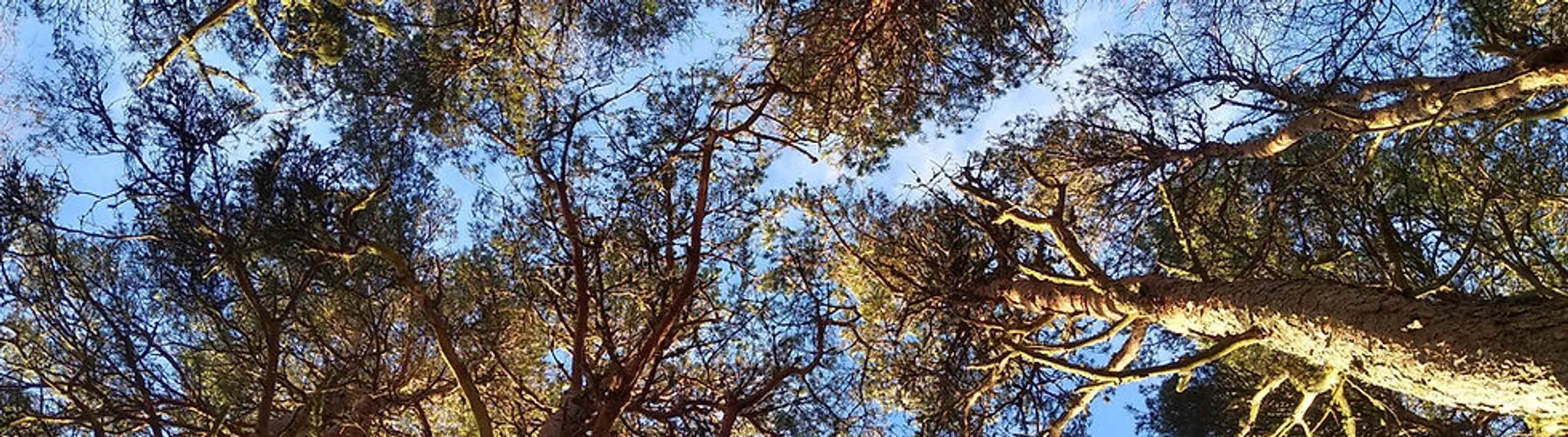 Wheel Good Times Bike Box