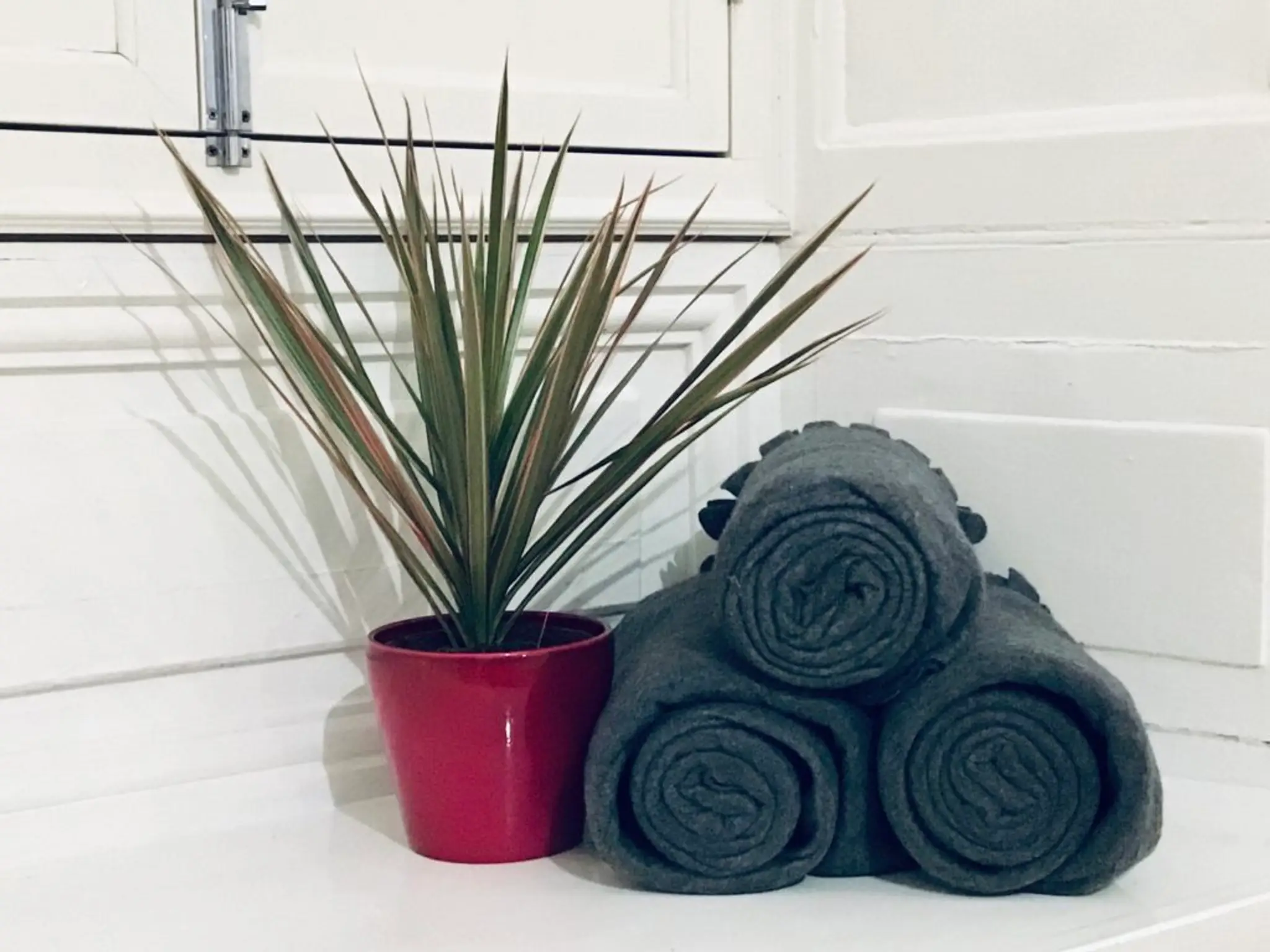 Body Equilibrium Sports Massage and Yoga Therapies