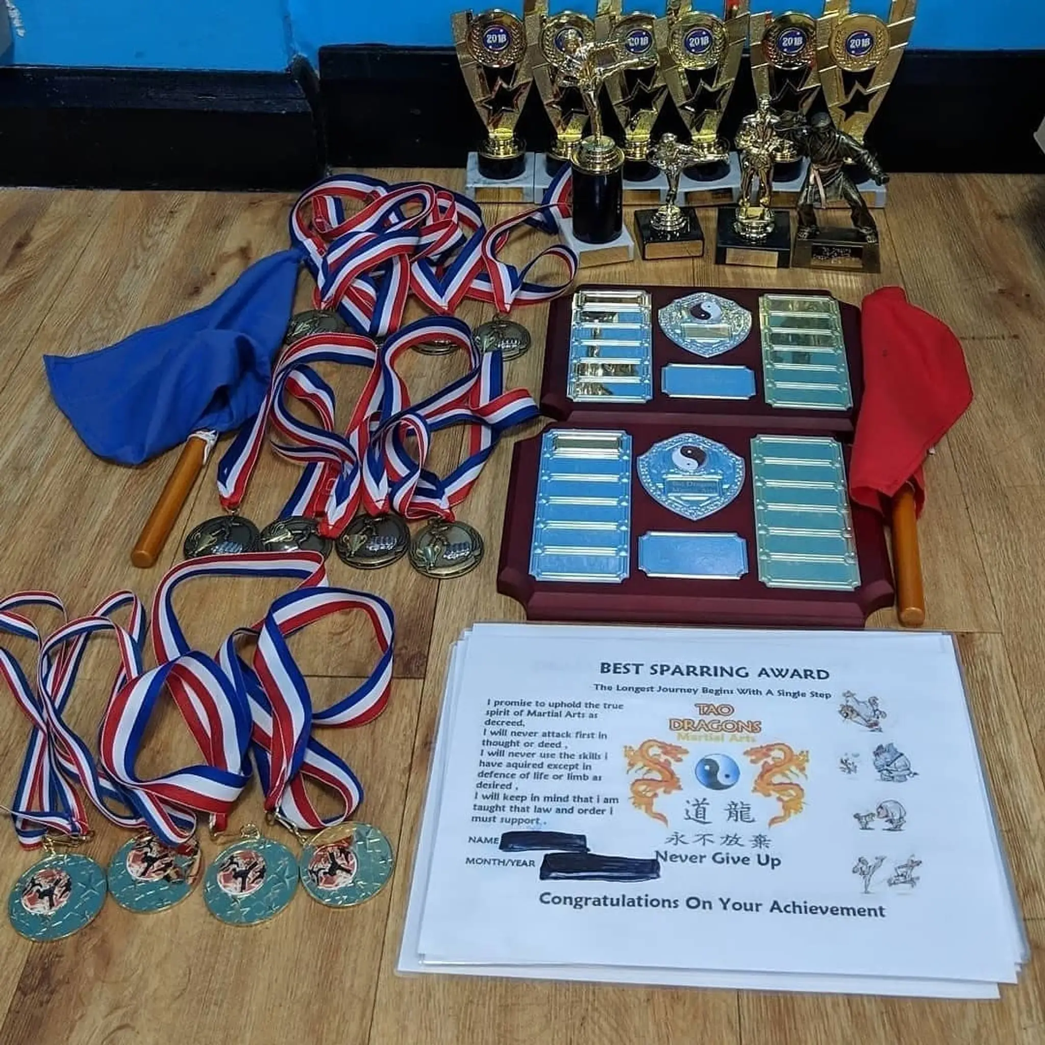 Tao Dragons Martial Arts Worthing