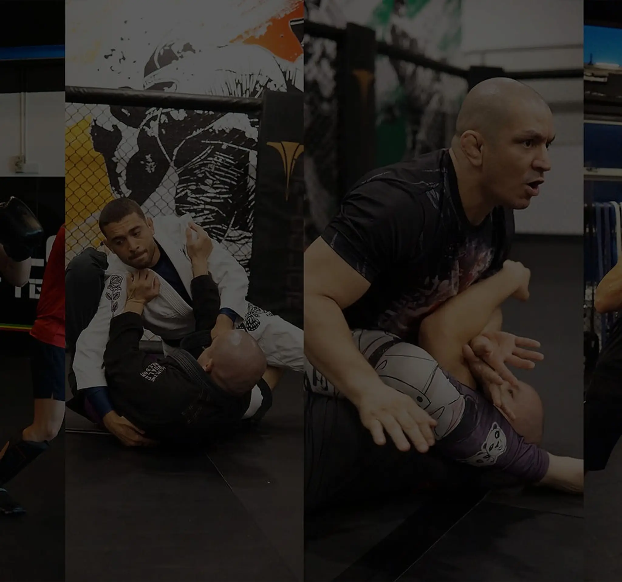 Tricolor MMA