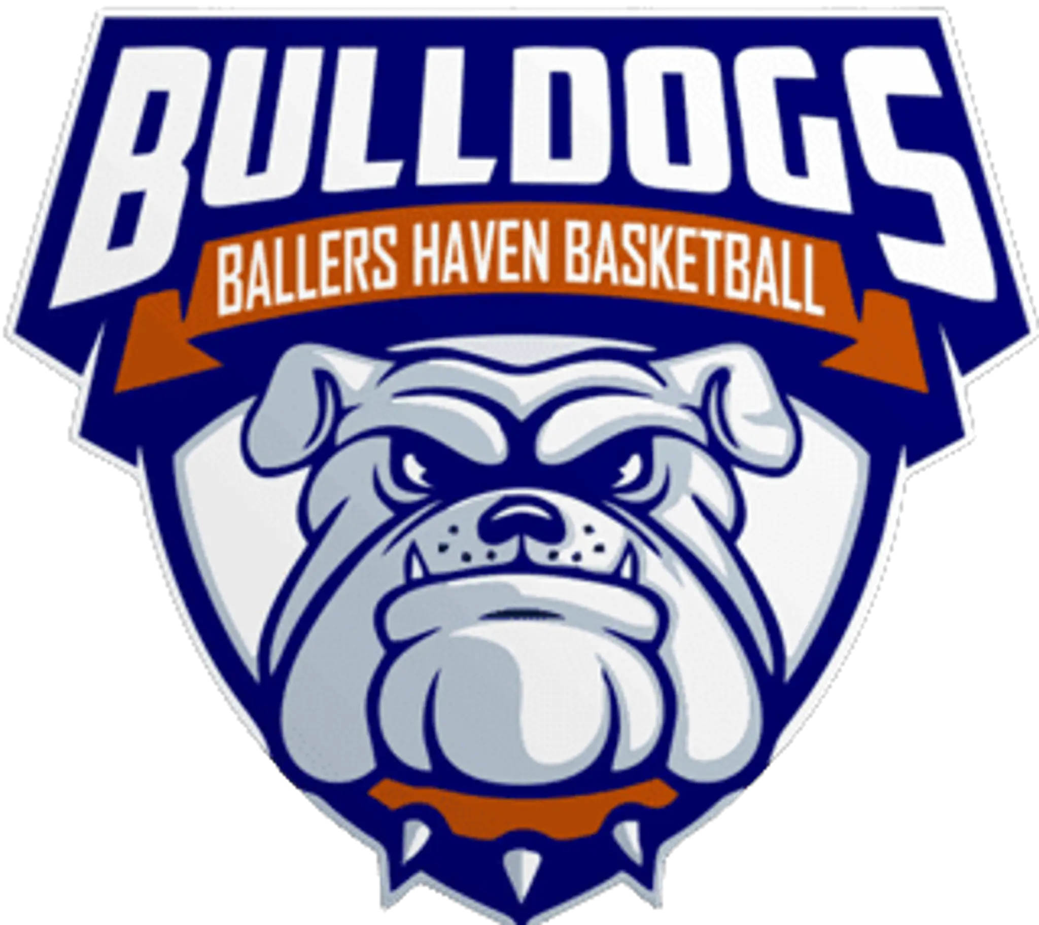 Ballers Haven Basketball