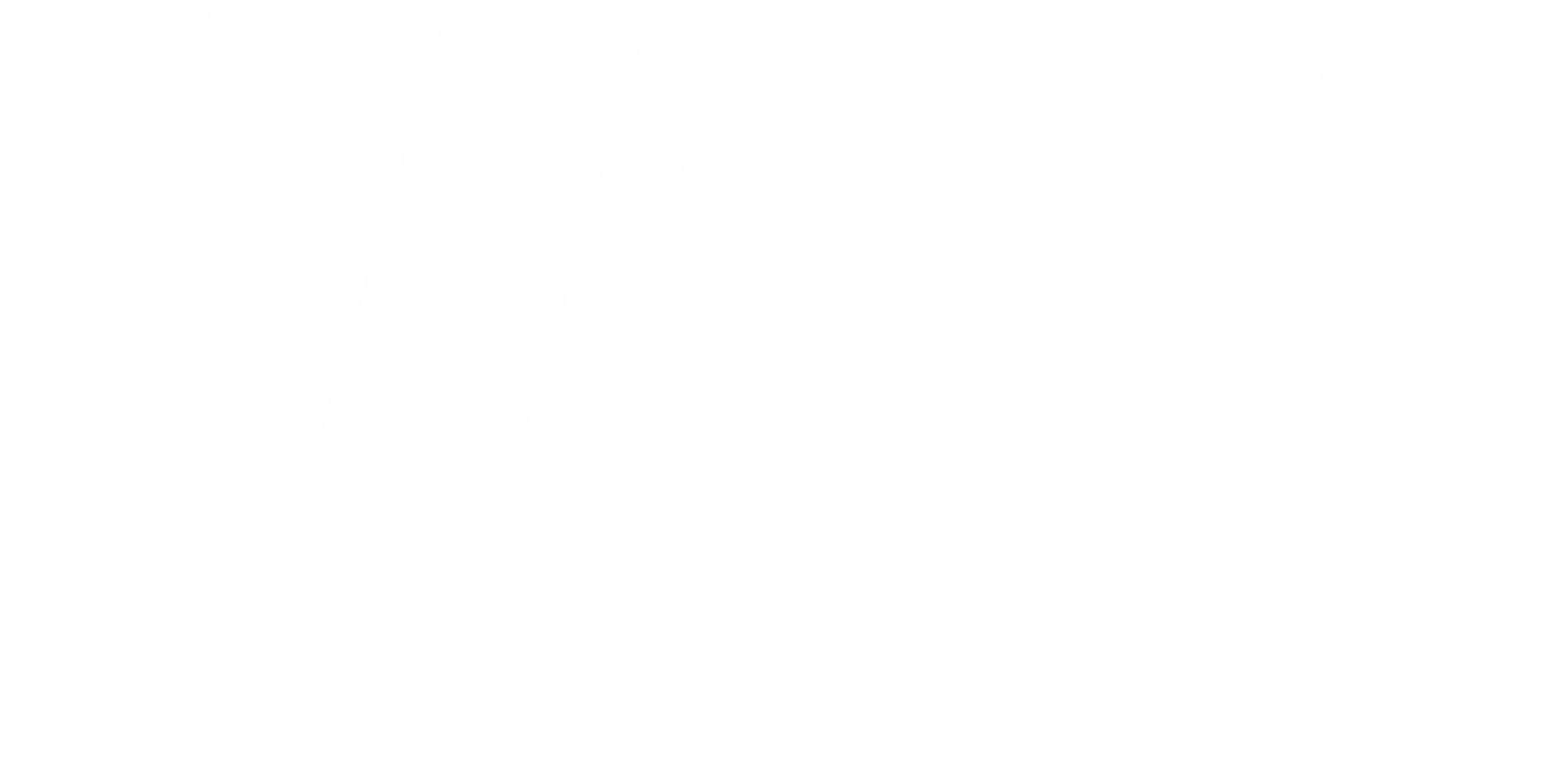 VT1 Martial Arts Academy