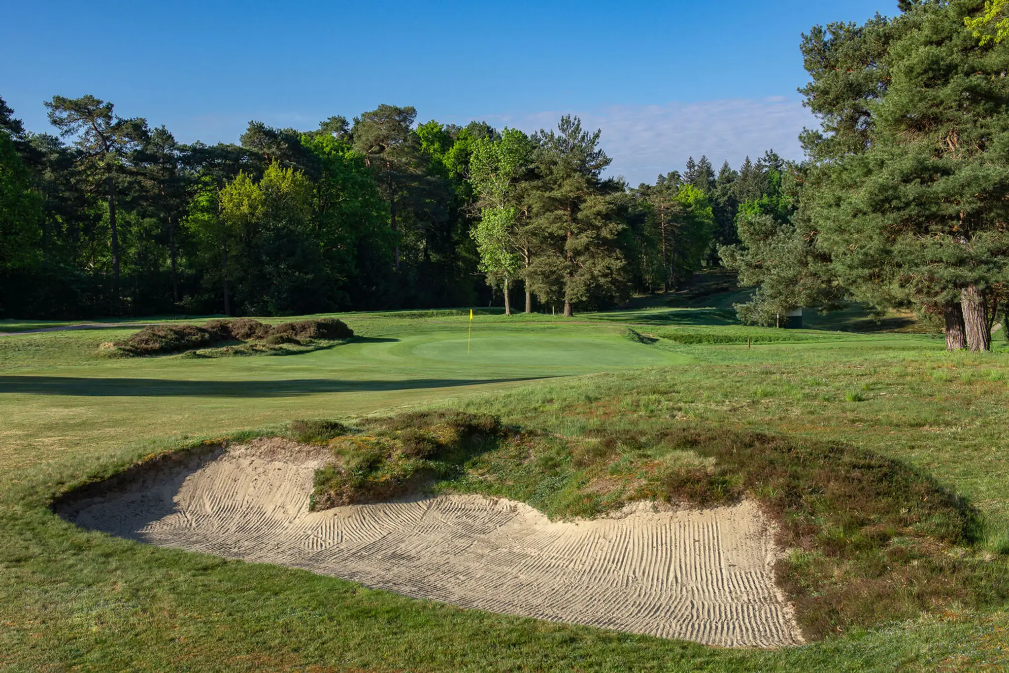 Sunningdale Heath Golf Club