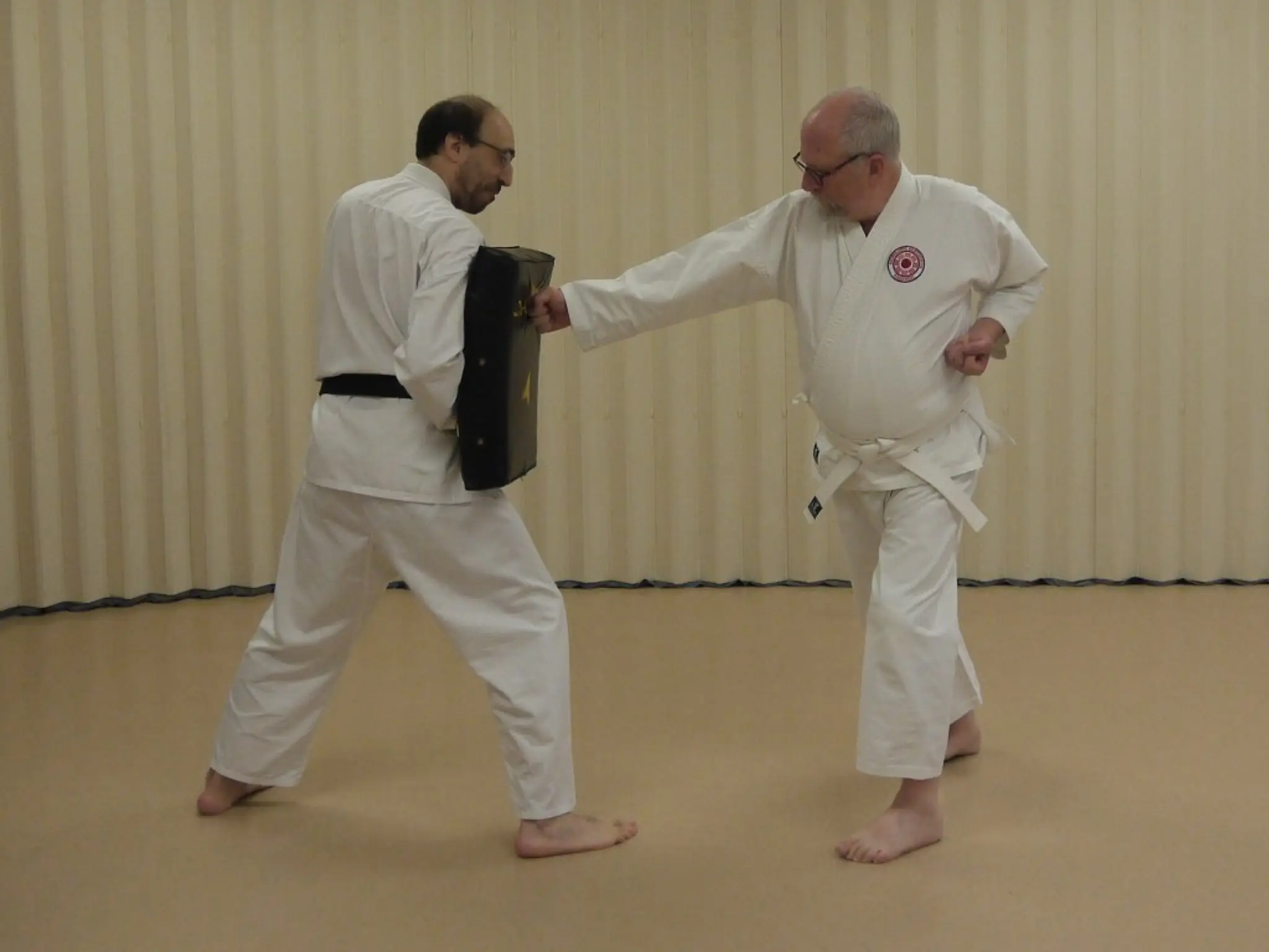 Budo Kai School of Traditional Karate