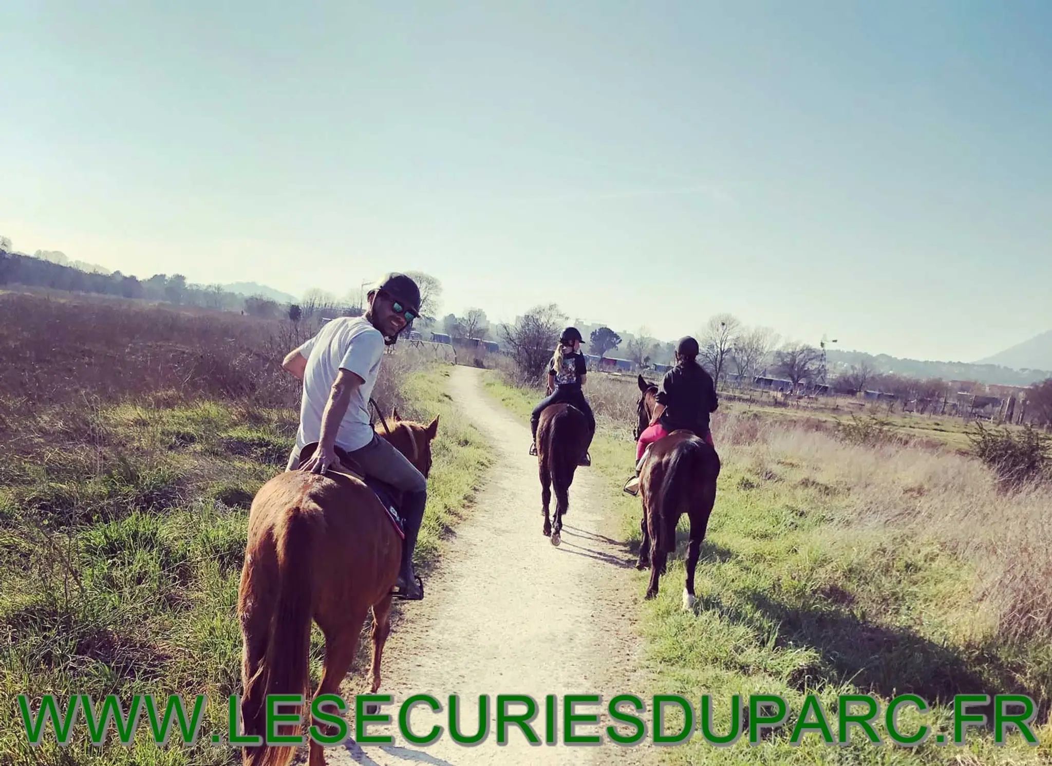 less air curies do park