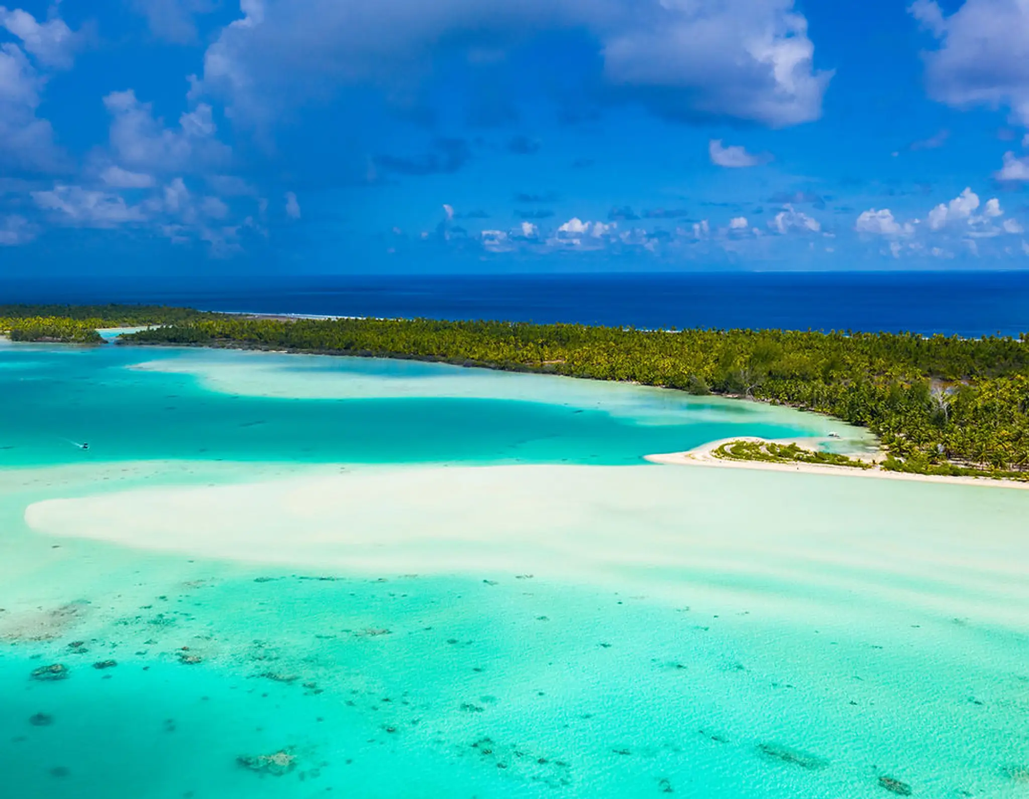 TAI PERERAU - Tahitian Dance School - Northern Beaches