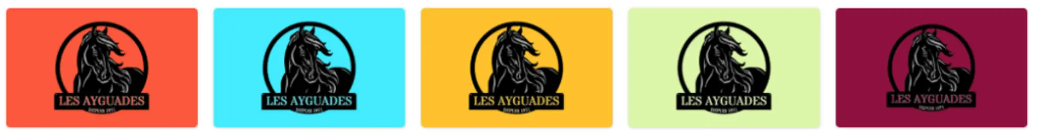 Centre Tourisme Equestre "Les Ayguades"