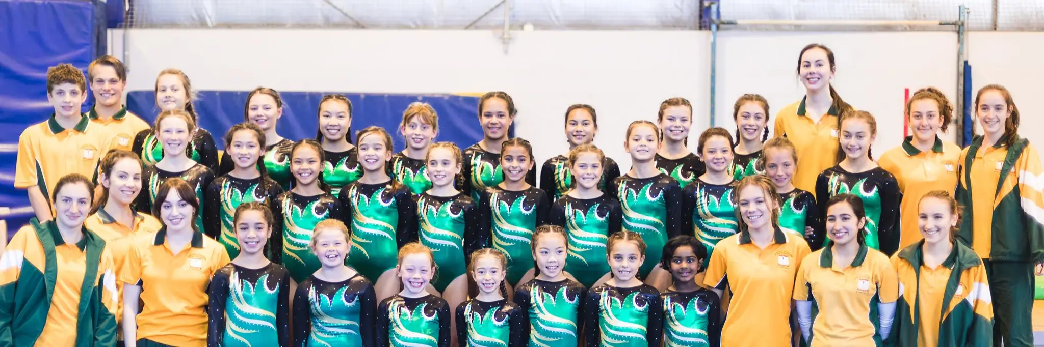 Seven Hills Toongabbie Wentworthville RSL Youth Club Gymnastics