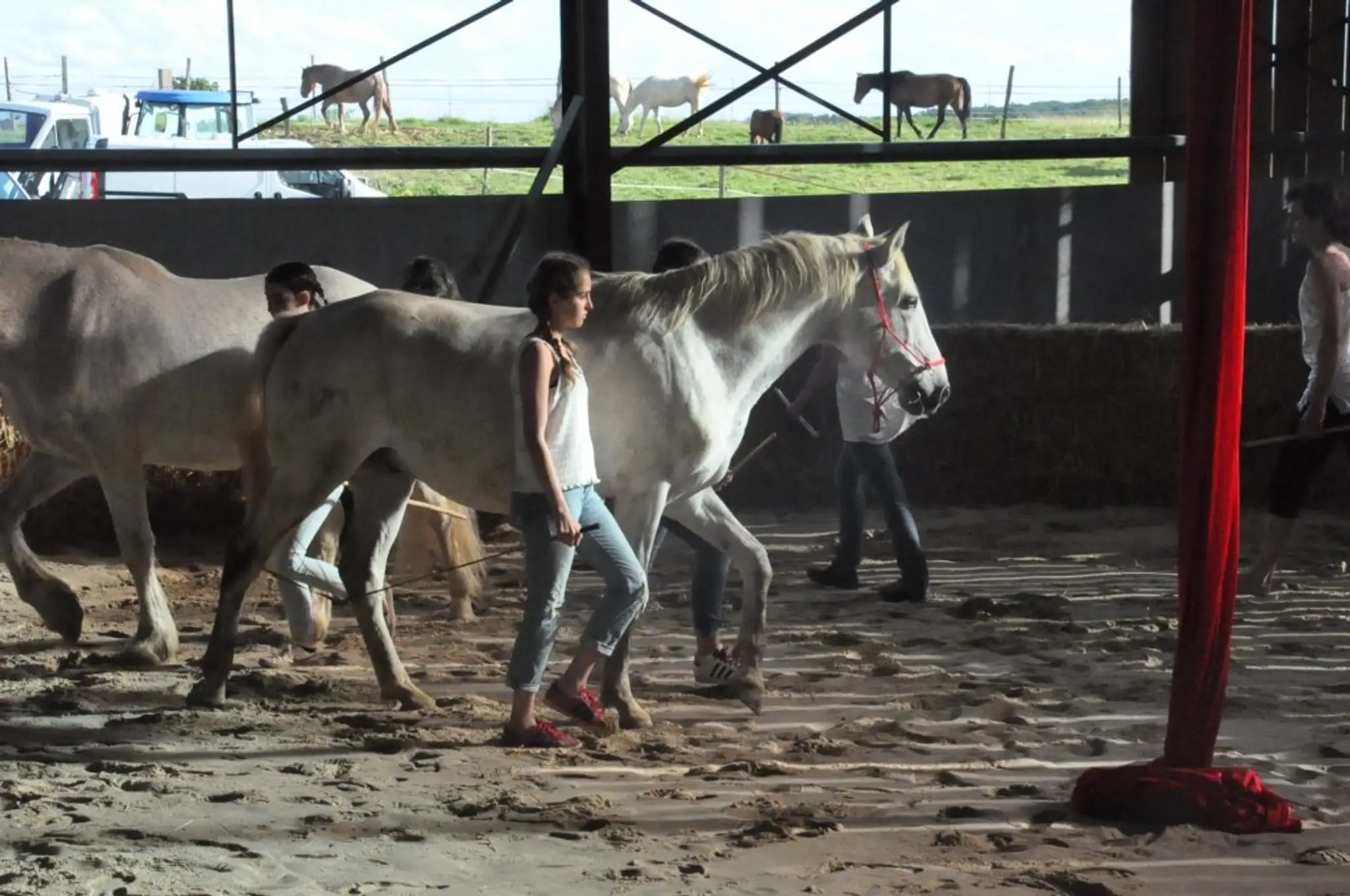Cheval Magique - Equestrian Center