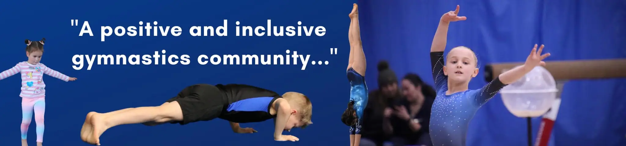 Dunedin Gymnastic Academy- Vogel Location