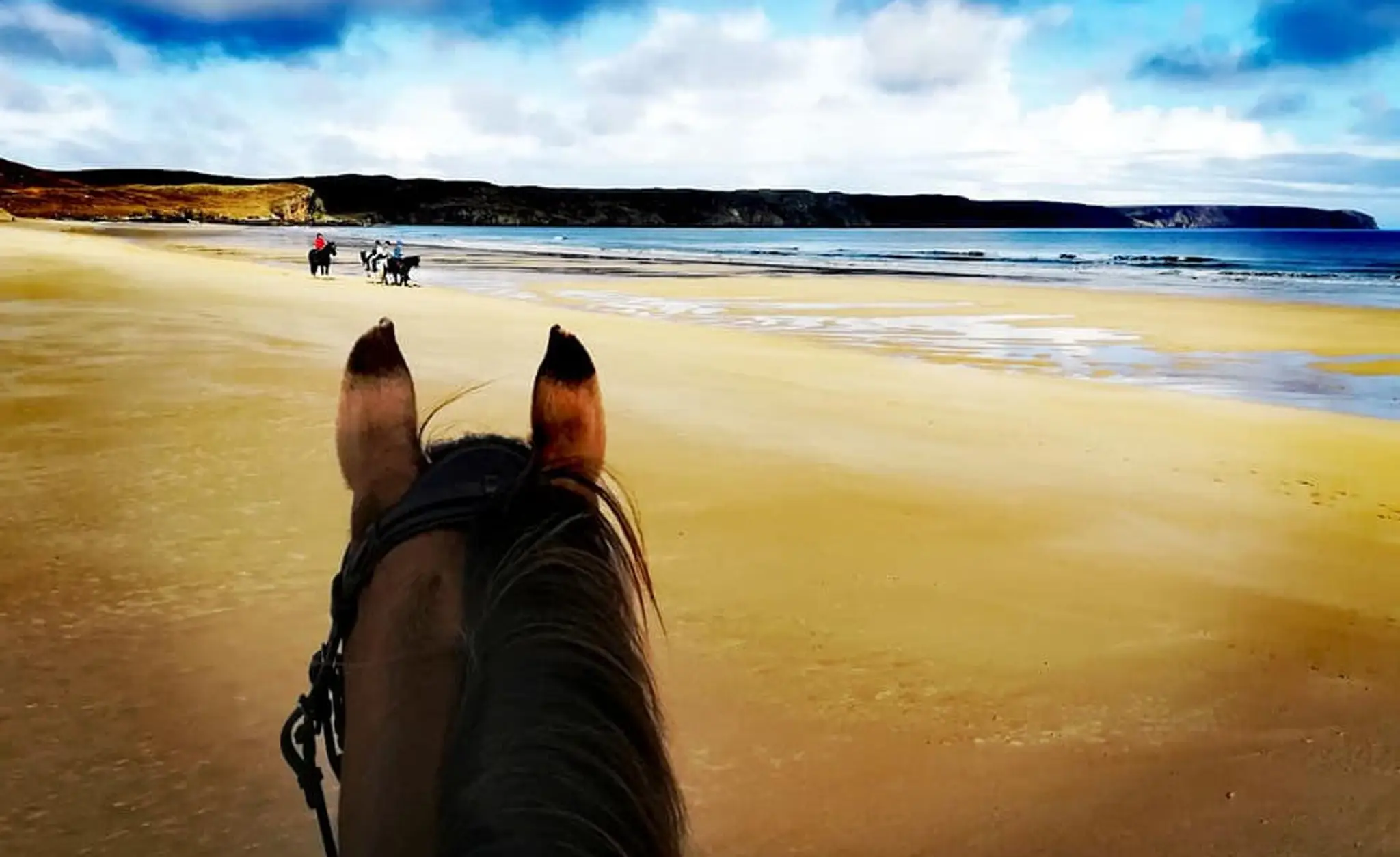 Traigh Mhor Pony Trekking