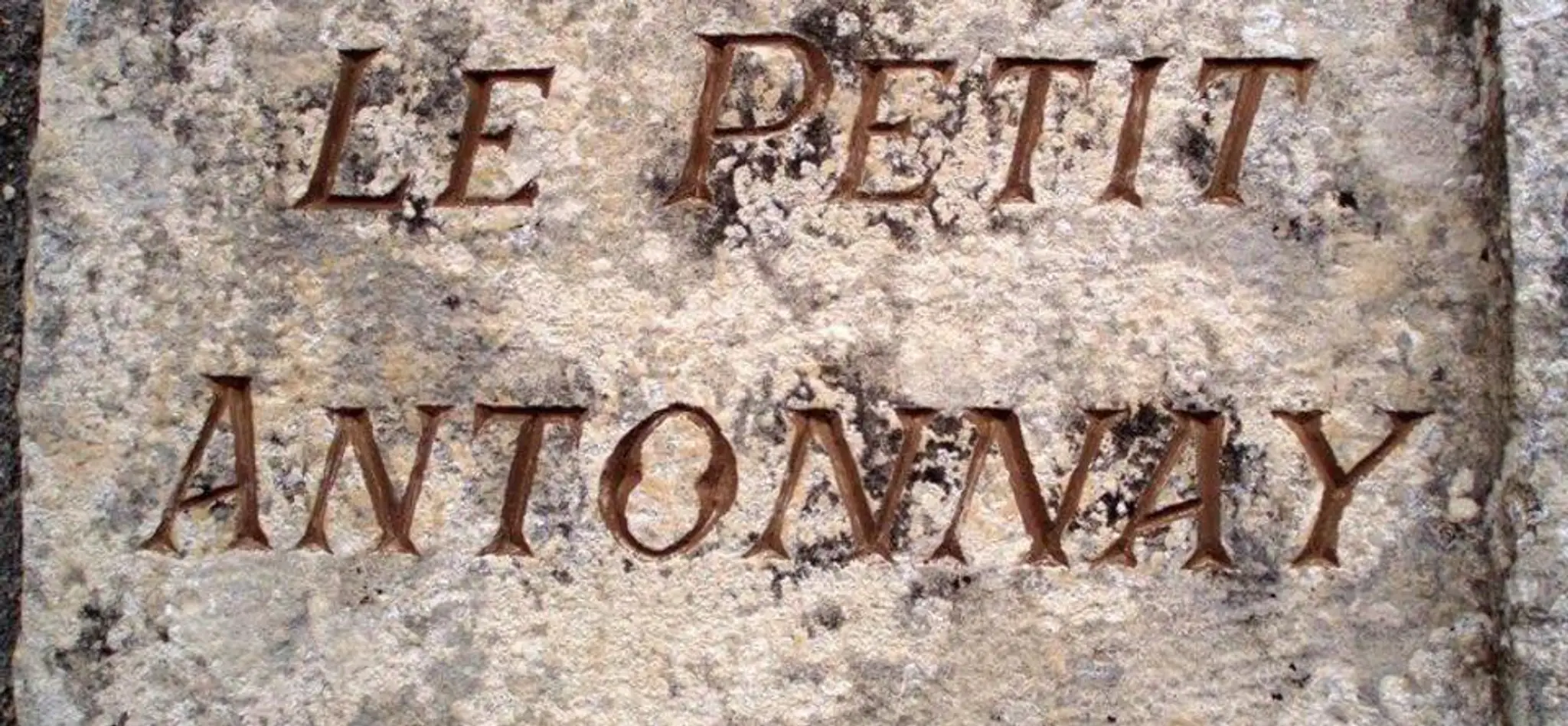 Le Petit Antonnay : Chambres d'hôtes bed and breakfast Yonne en Bourgogne