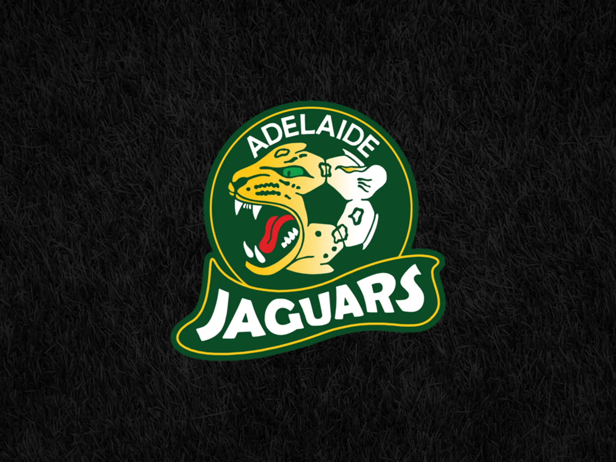 Adelaide Jaguars Womens Soccer Club