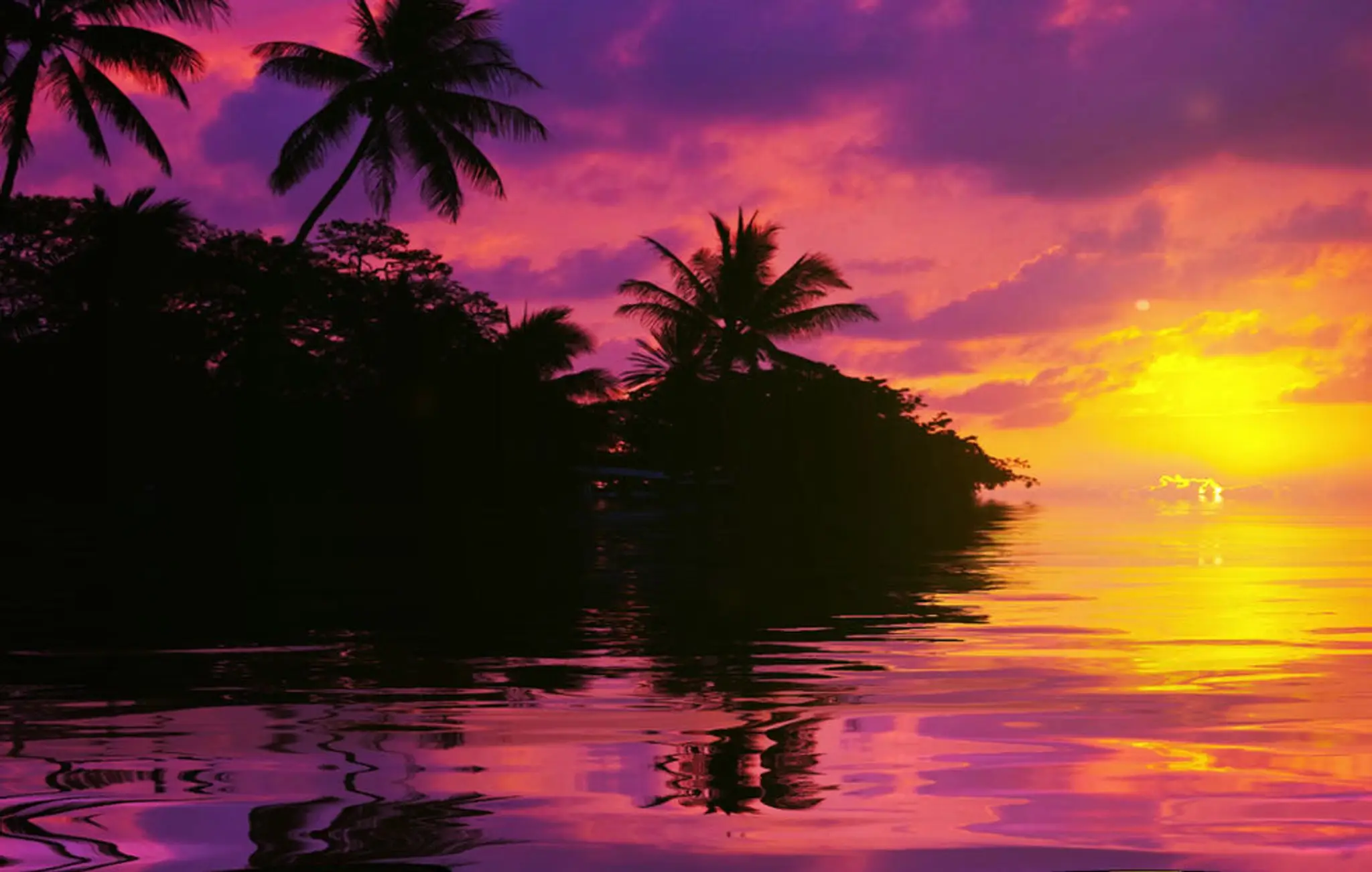 Humming Nest (Zumba and Yoga Fitness Studio)