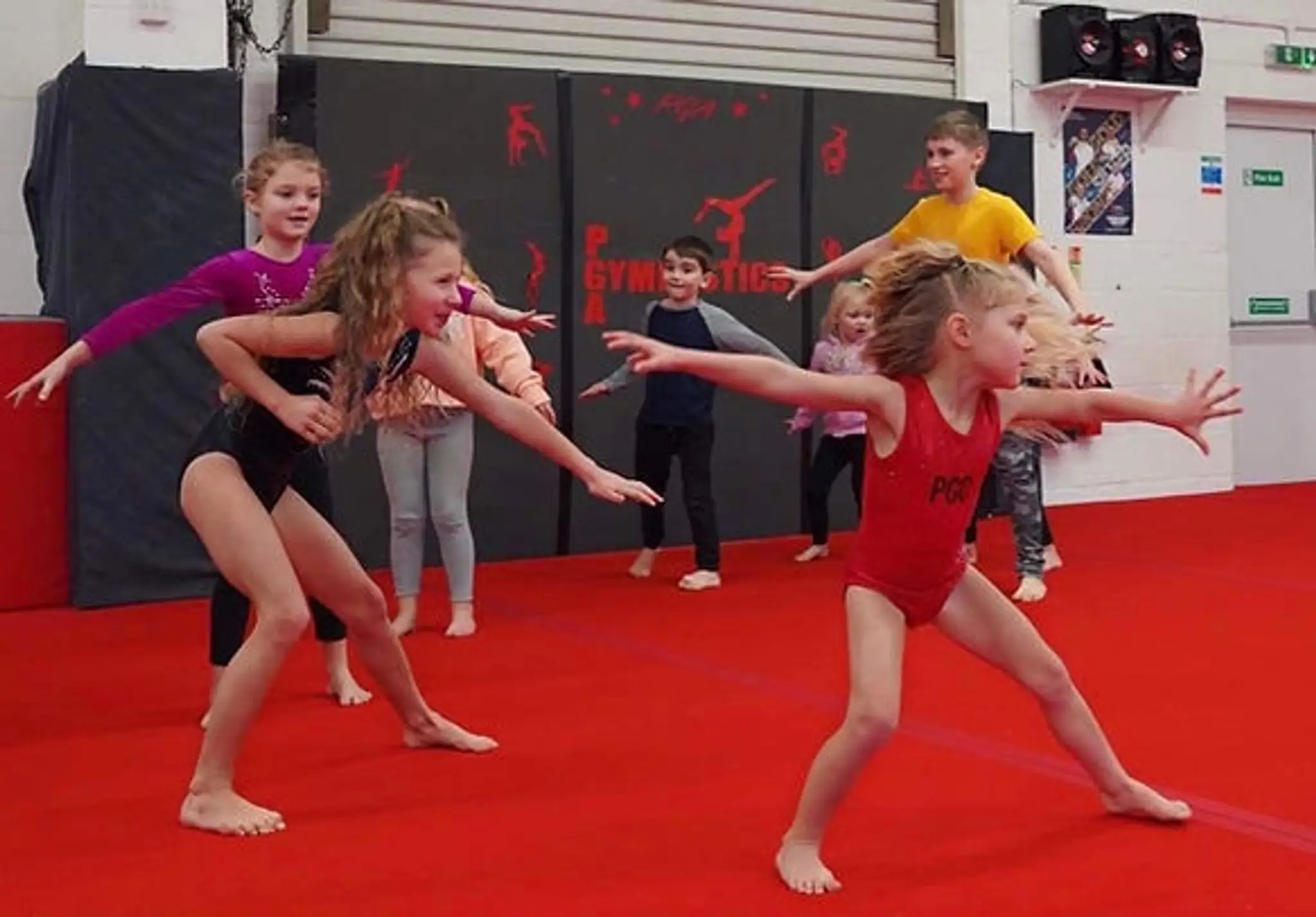 Performers Gymnastics Academy Ltd