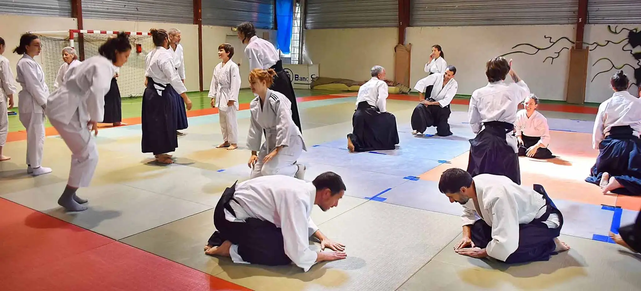 Aikido Auzeville 31
