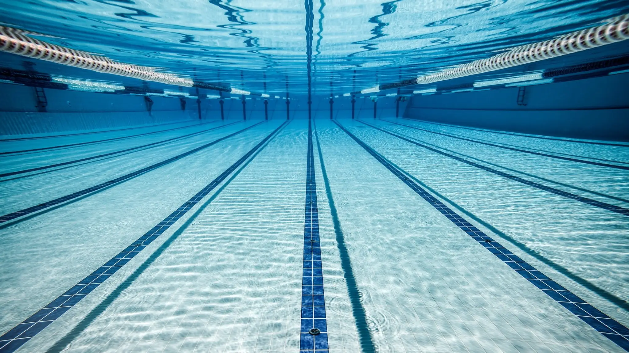 Best Swimming Class Singapore I Swim Dolphins Pte Ltd