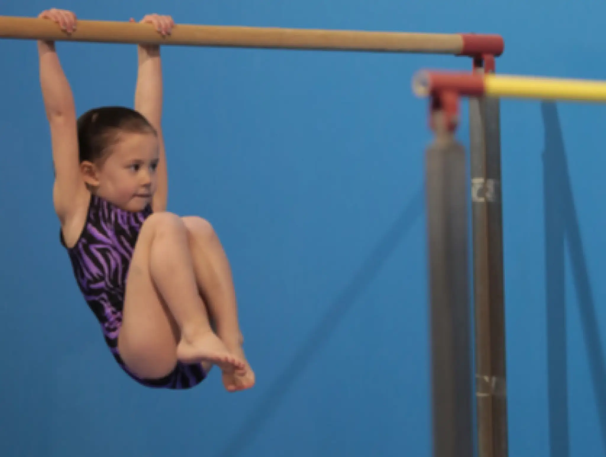 Springers Gymnastics Club Inc