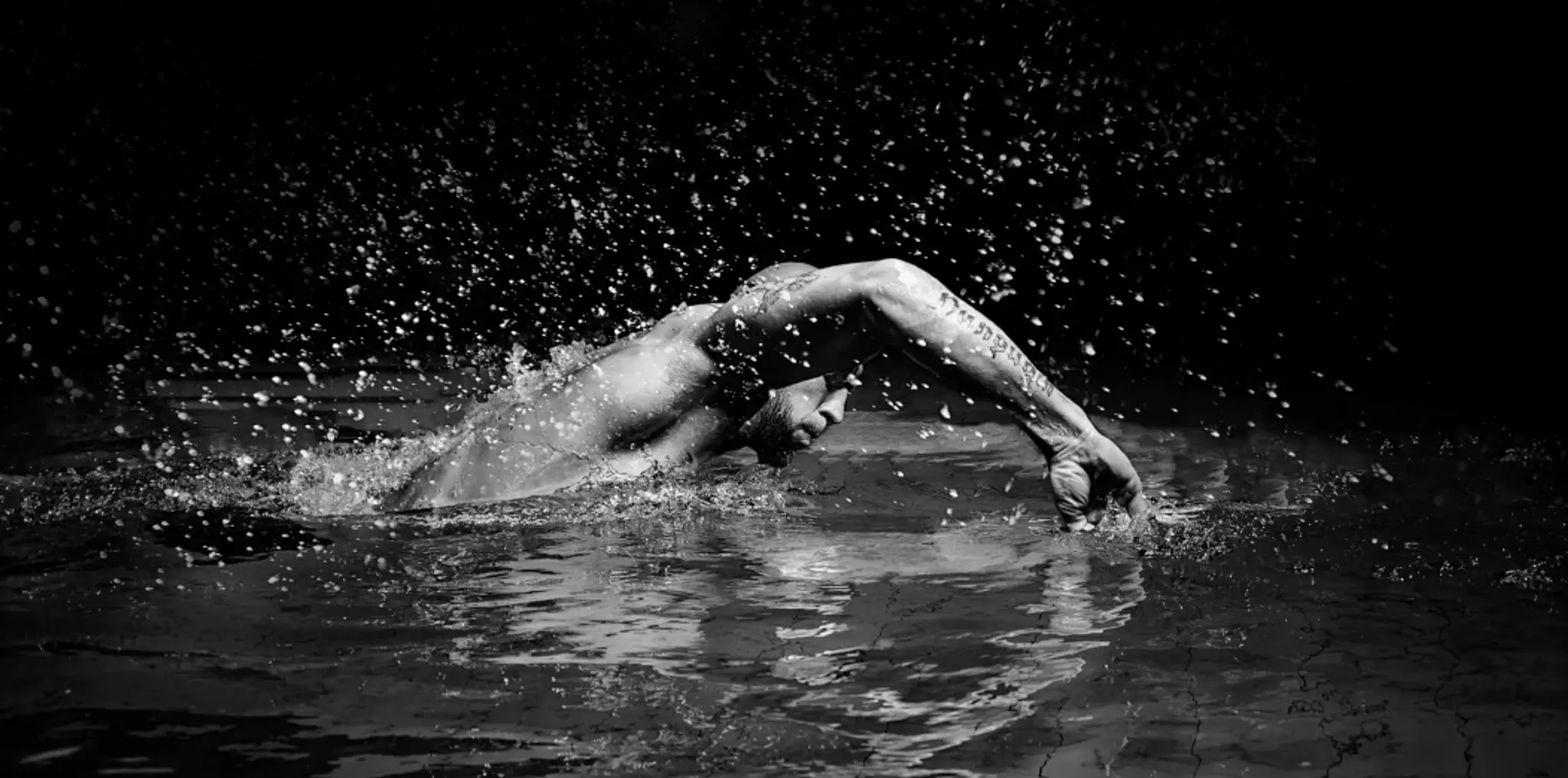 BELUGA SWIMMING ACADEMY