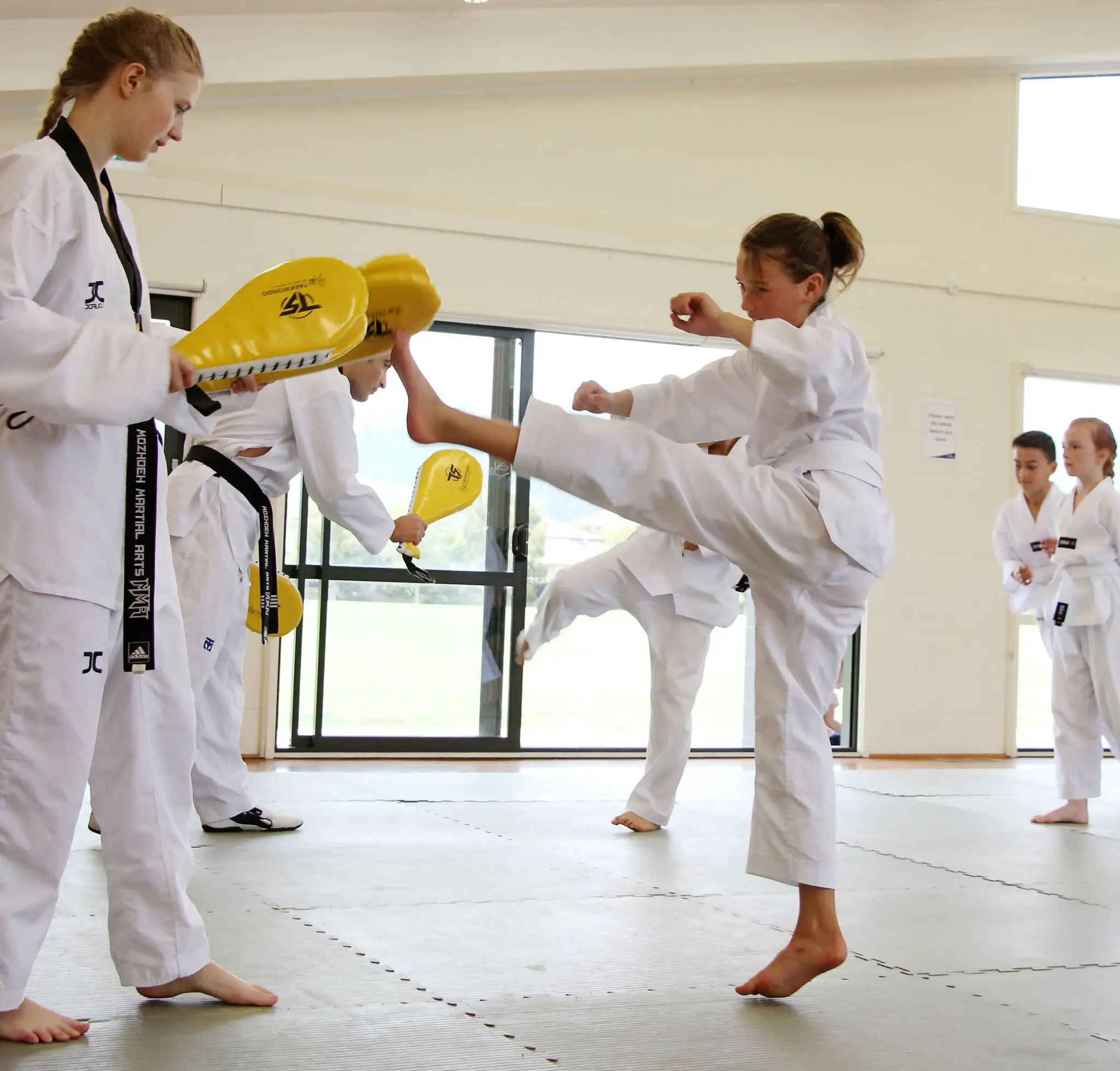 Mozhdeh Martial Arts NZ