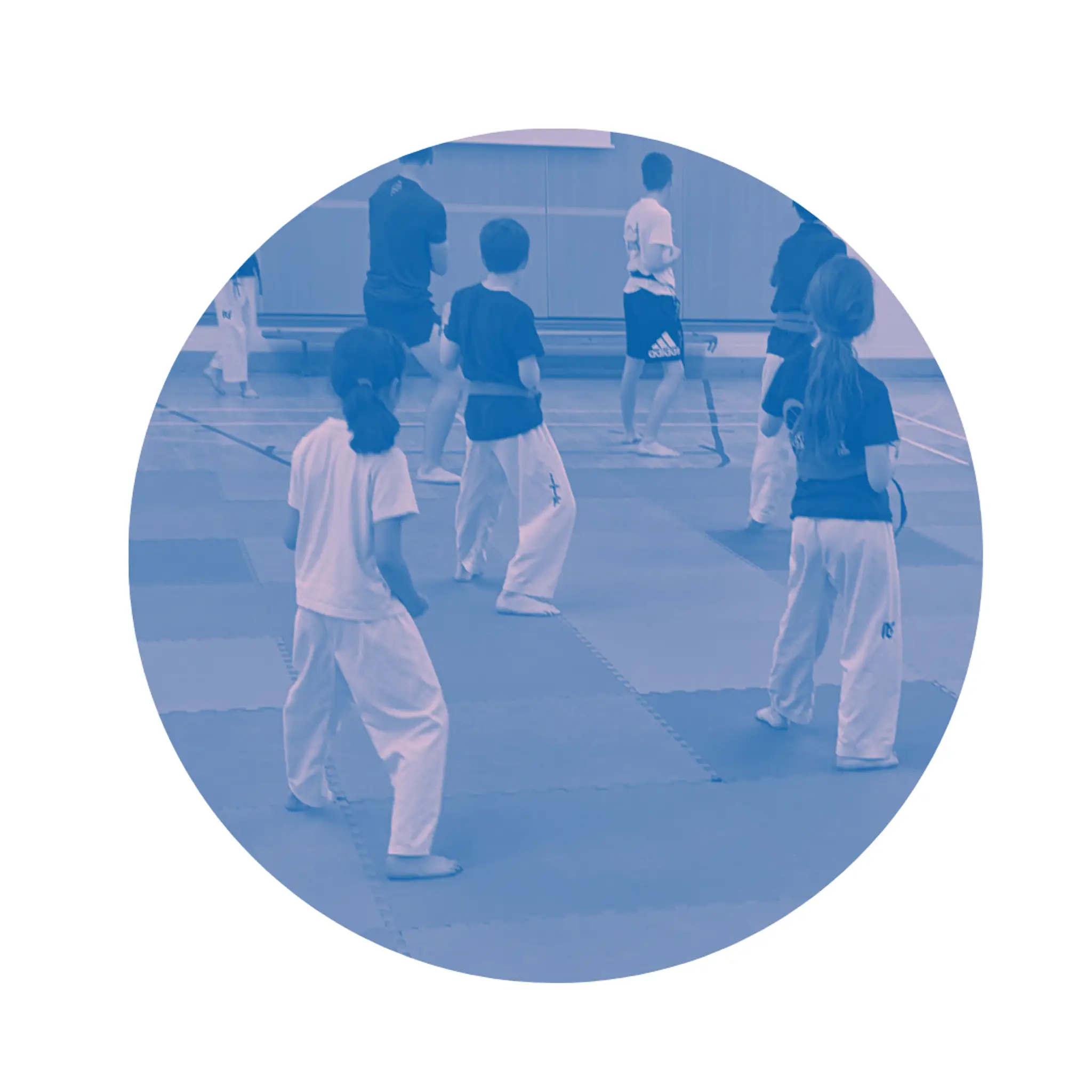 Sandyford Taekwon-Do Club