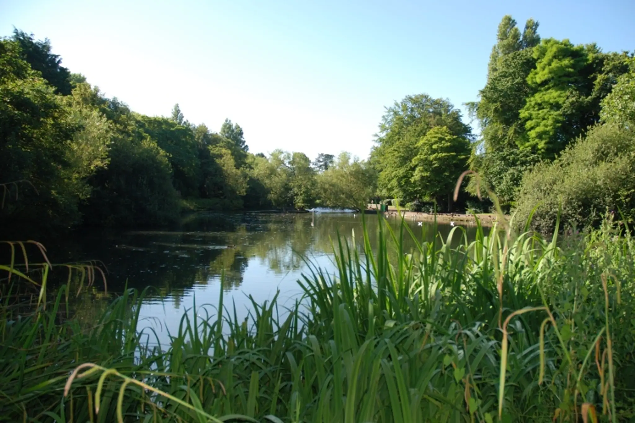 The Football Pitch Inside Mersey Park sta