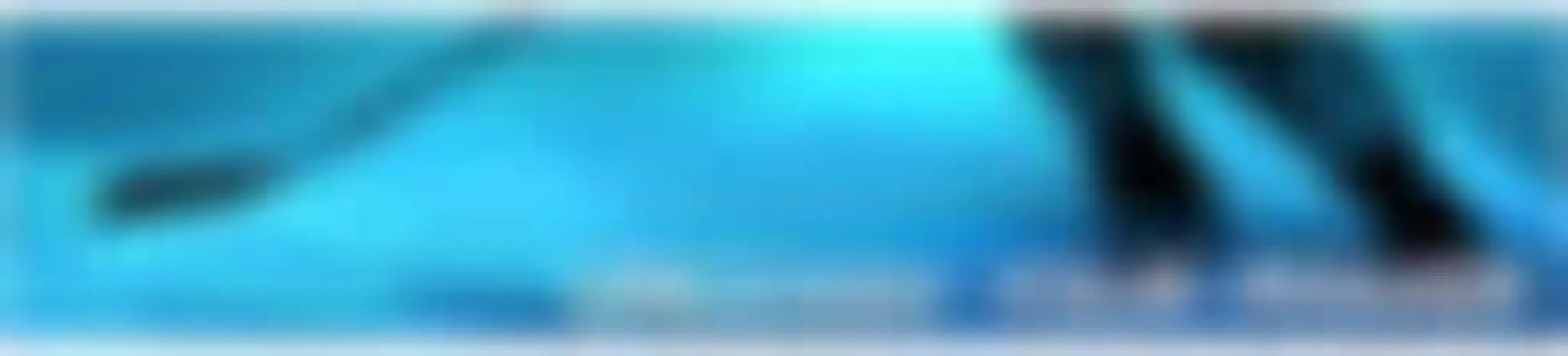 Edges Professional Skating instruction