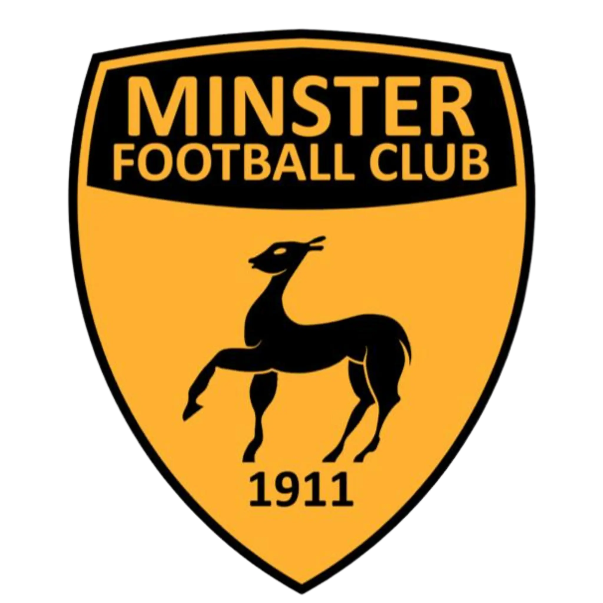 Cinque Ports Football Club