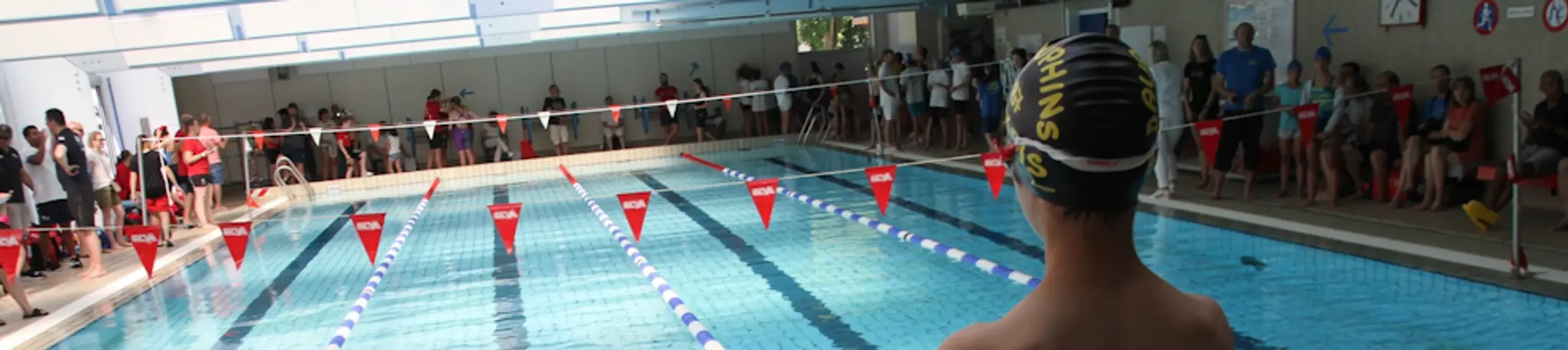 Club de natation Les Dauphins Aixois