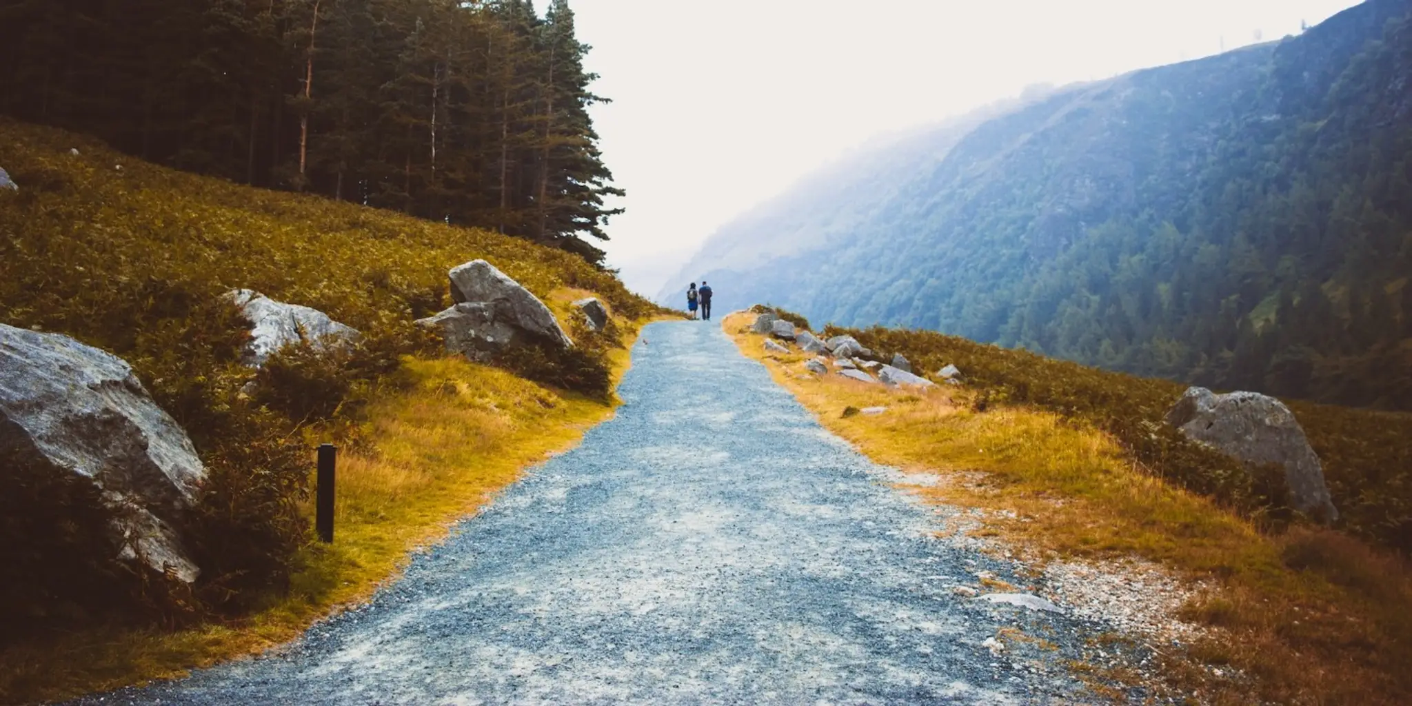 Wicklow Strength and Fitness