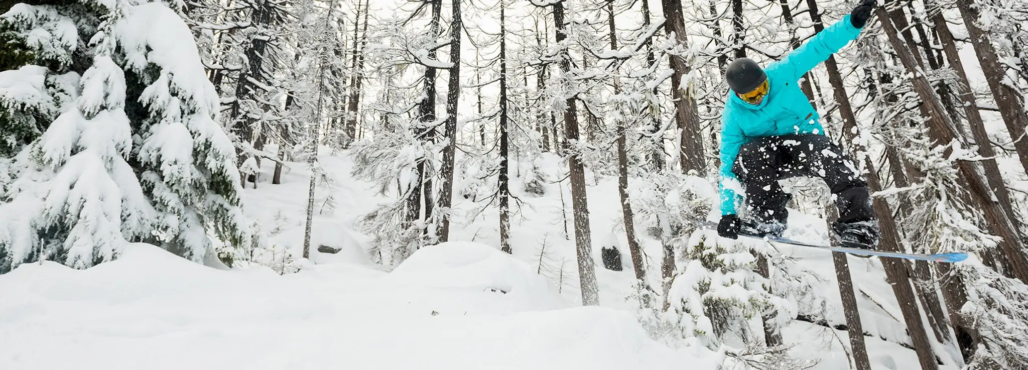 Pro Ride Snowboard Camps