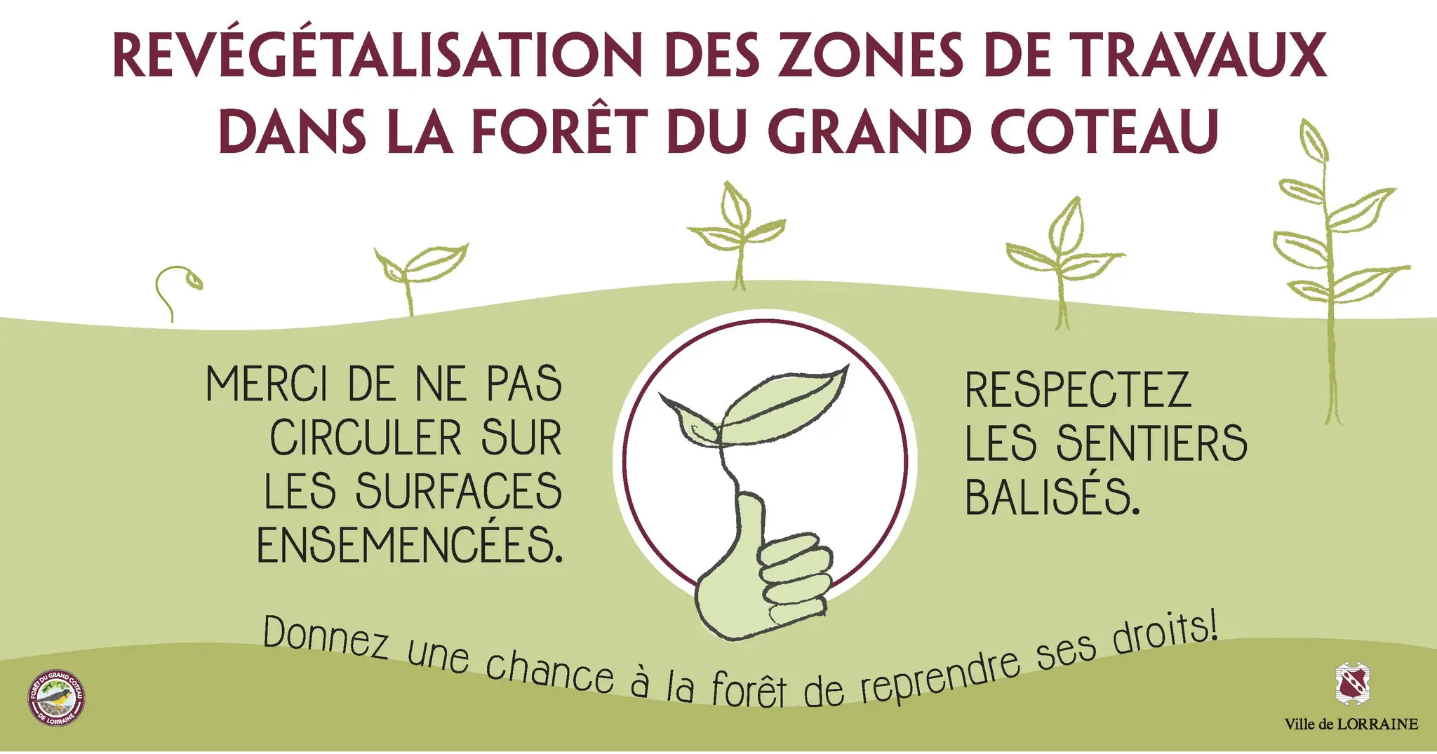 Piscine municipale de Lorraine