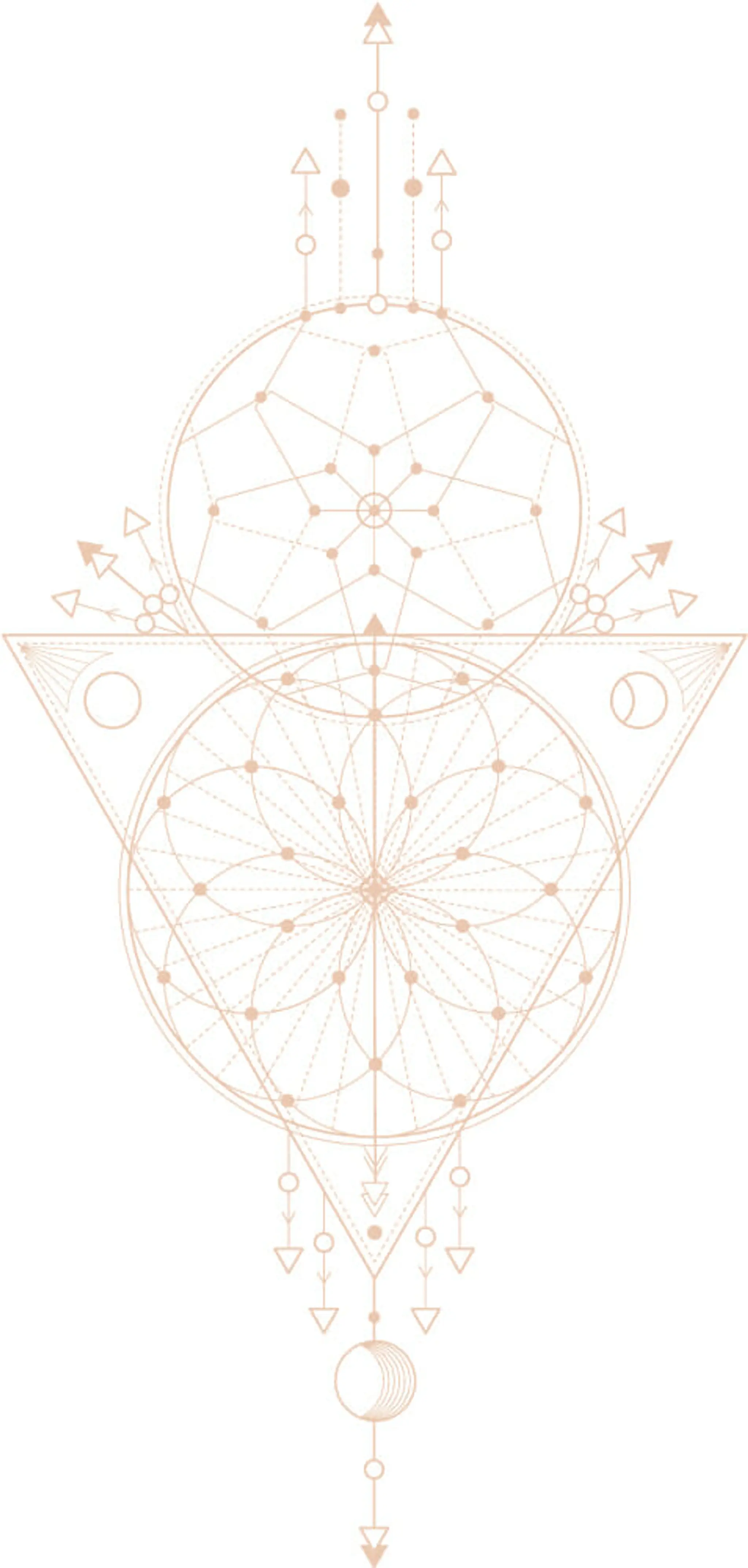 Mind Body Collective