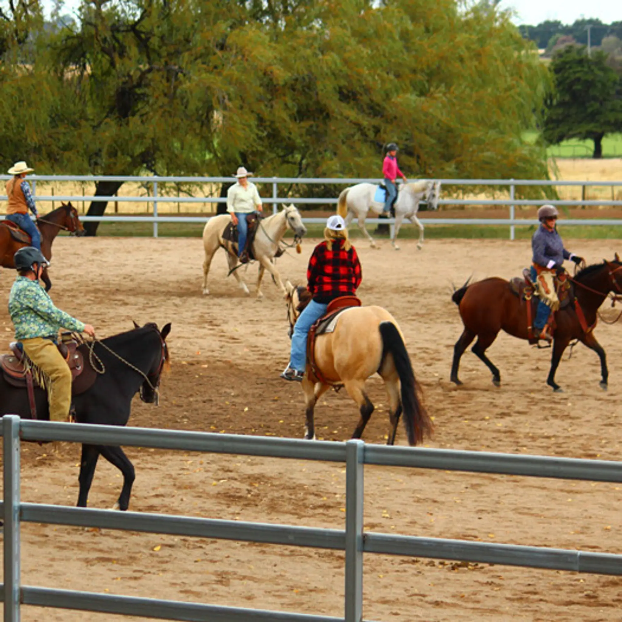 Reata Ranch Horsemanship