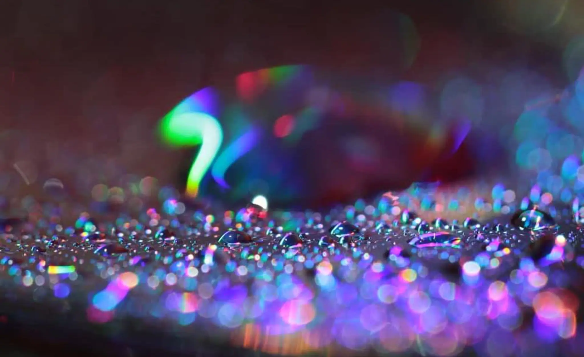 Vancouver Bellydance Bollywood Professional Dancer