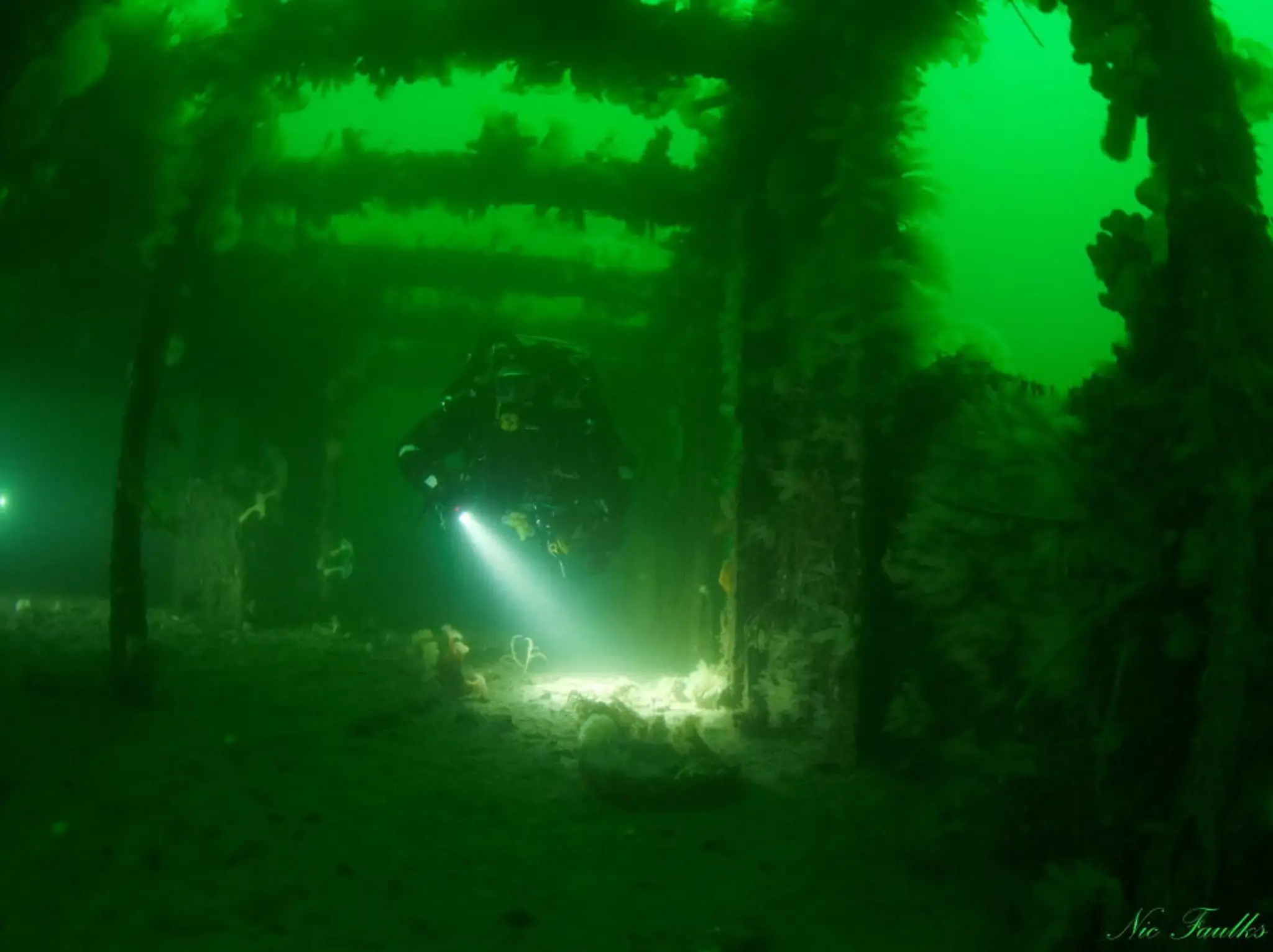 Lochaline Boat Charters