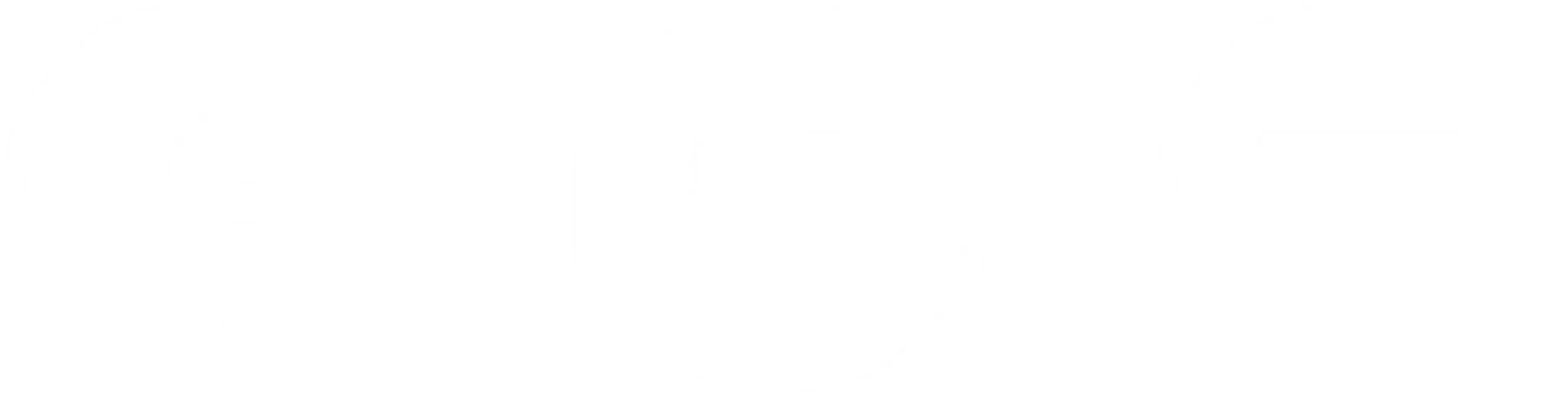 Evolved Movement Arts