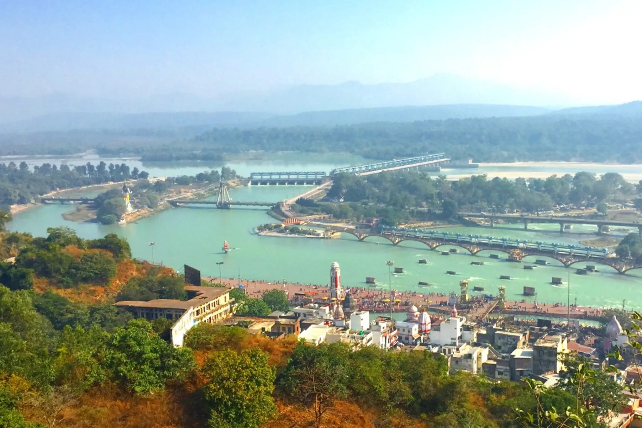 NZ Yoga Centre with Sadhana Yoga