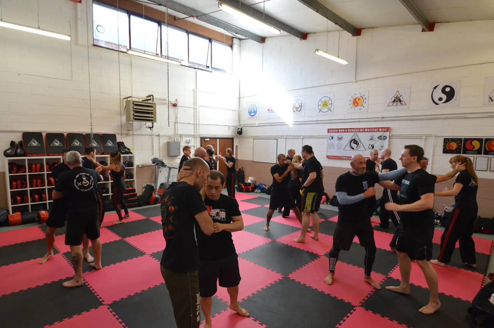 STEVE MARTIN FIGHTING ARTS ACADEMY