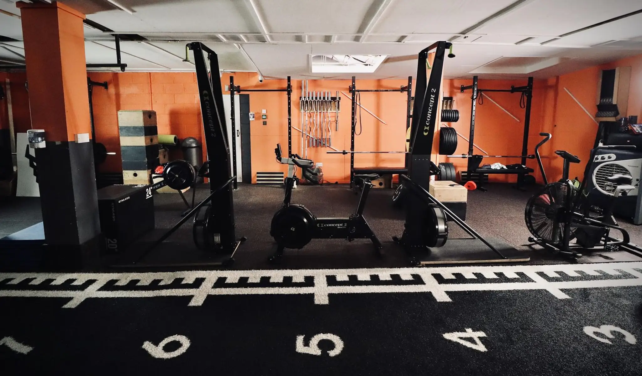 ABS Solution Fitness