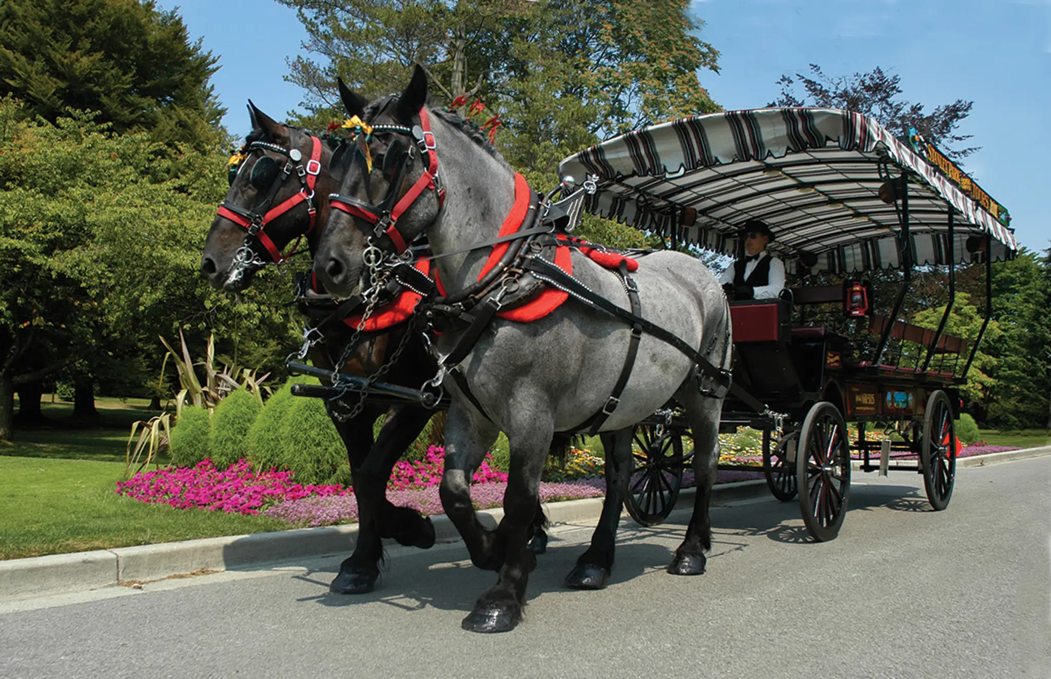 AAA Horse & Carriage Ltd.