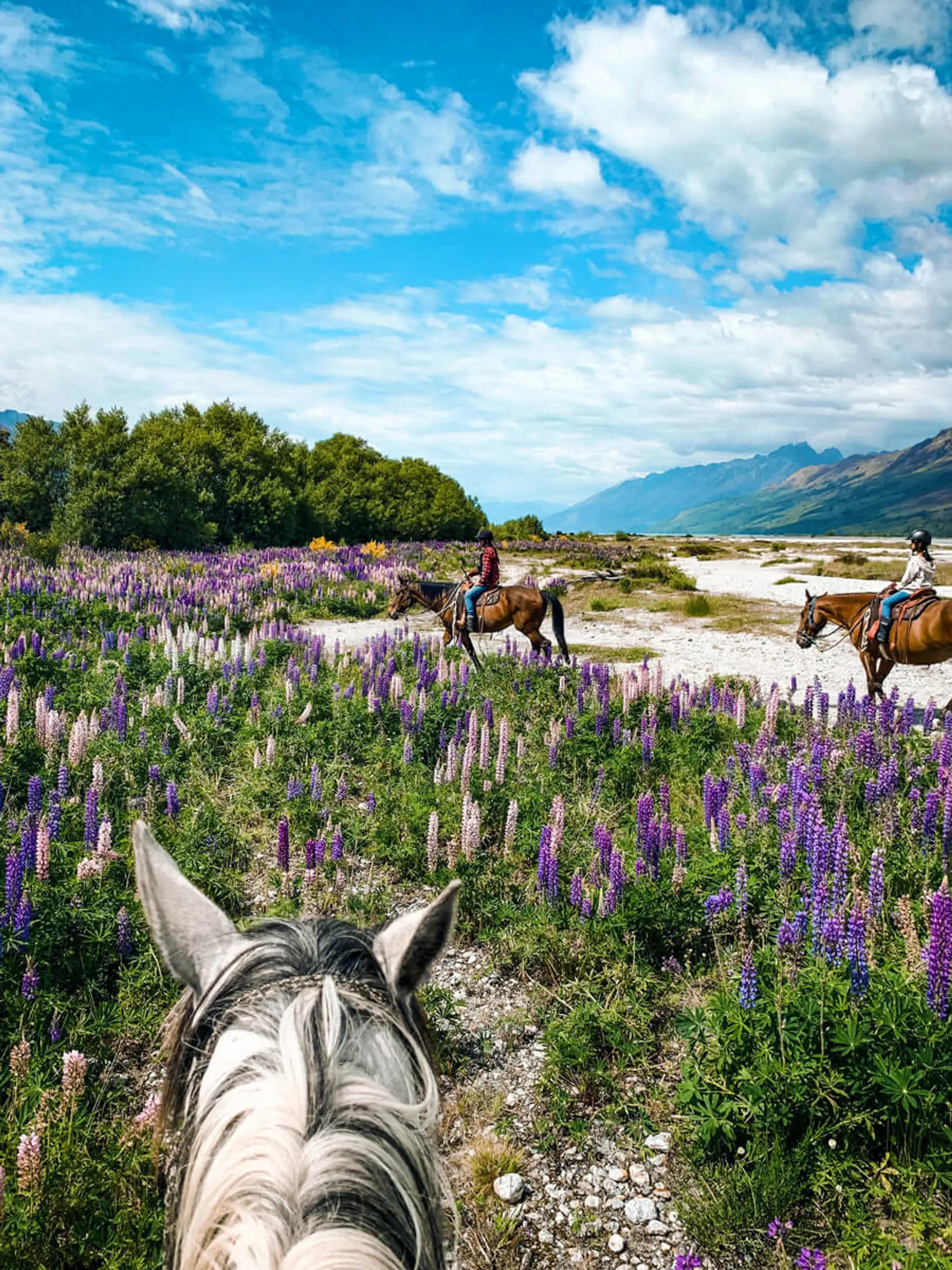 Lighthorse Adventures Horse Treks