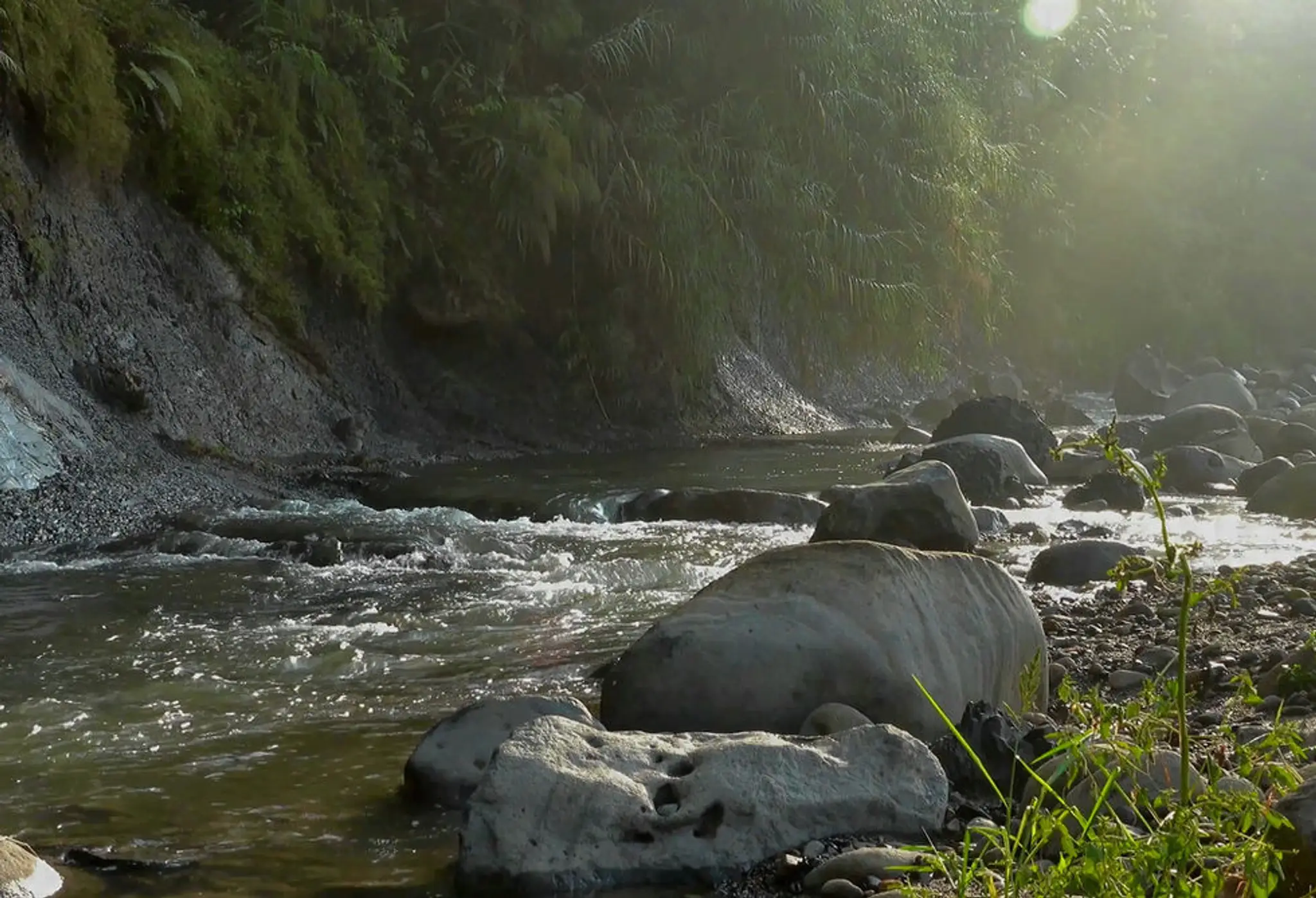 Au Naturel - Holistic Health Care / Services de sant holistique