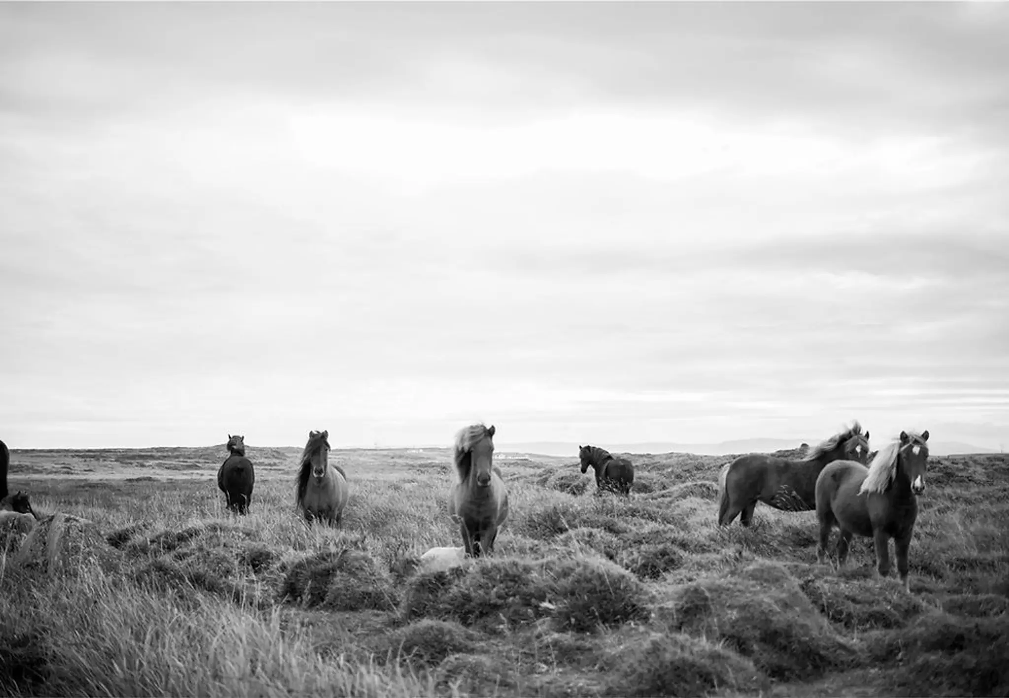 Baylands Equestrian Centre