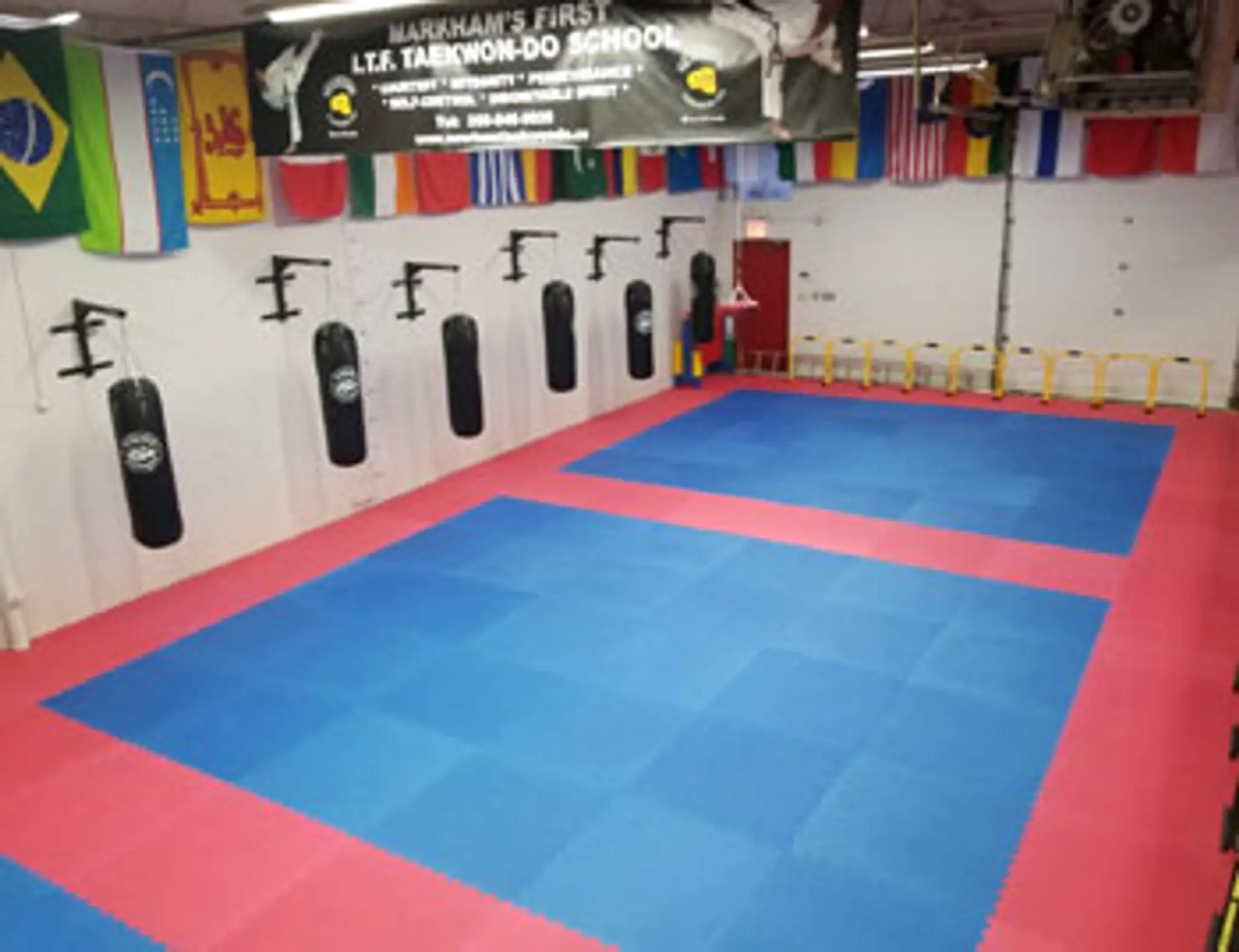 Newton's ITF School of Taekwon-do (Markham)