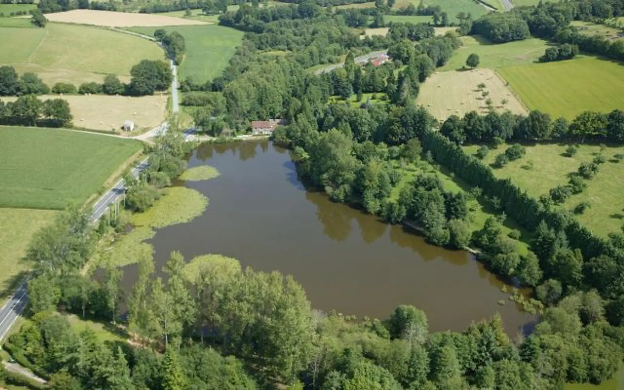 St Leonards Carp Lakes
