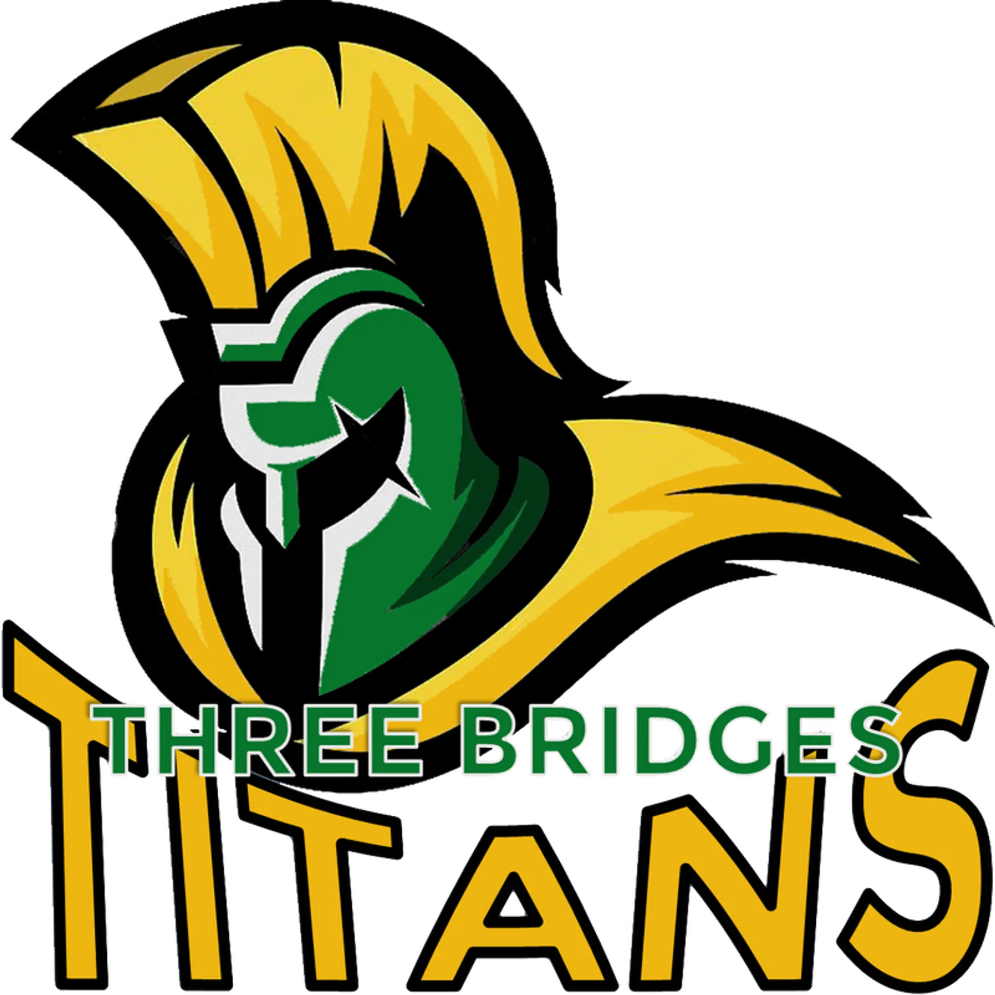 Three Bridges Cricket Club