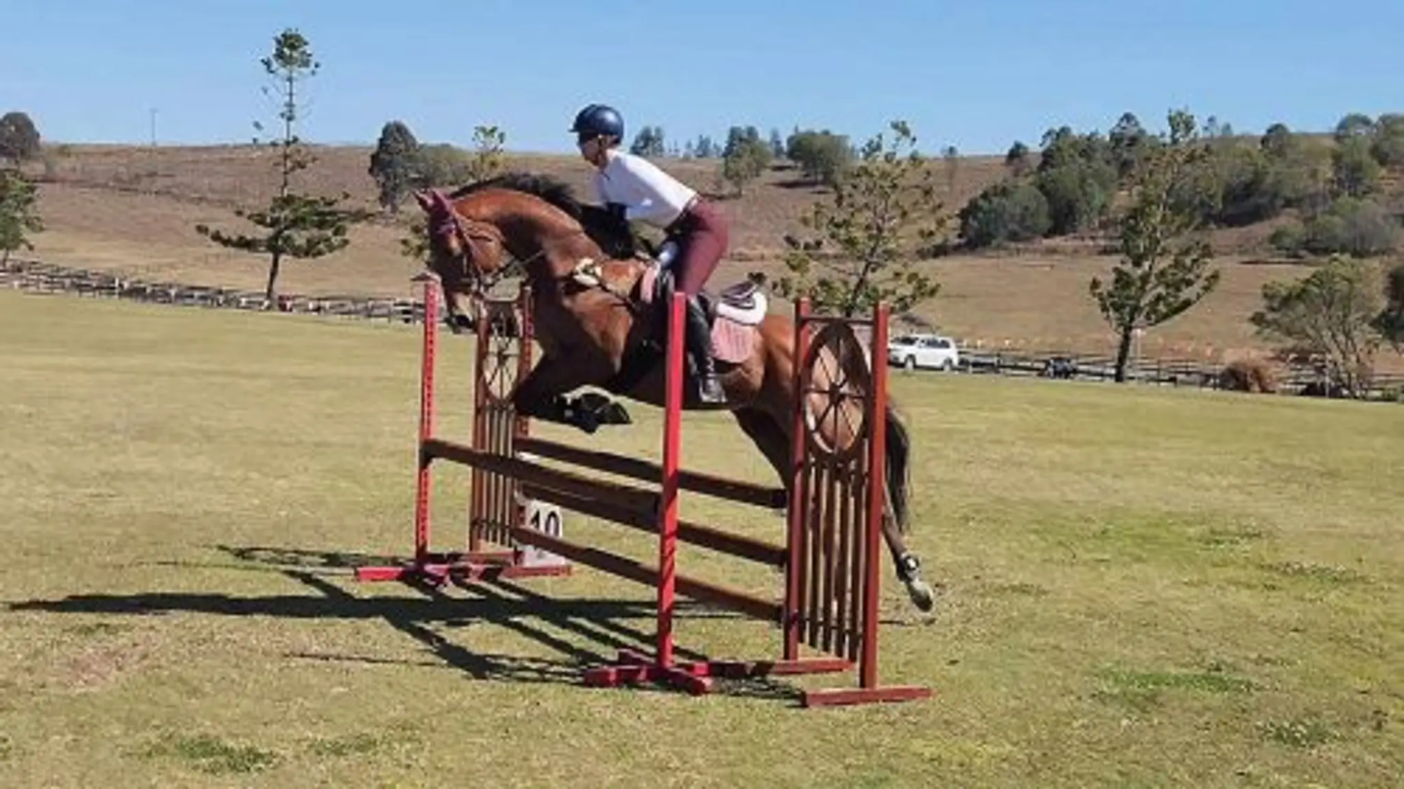 Grand Prix Rugs & Accessories