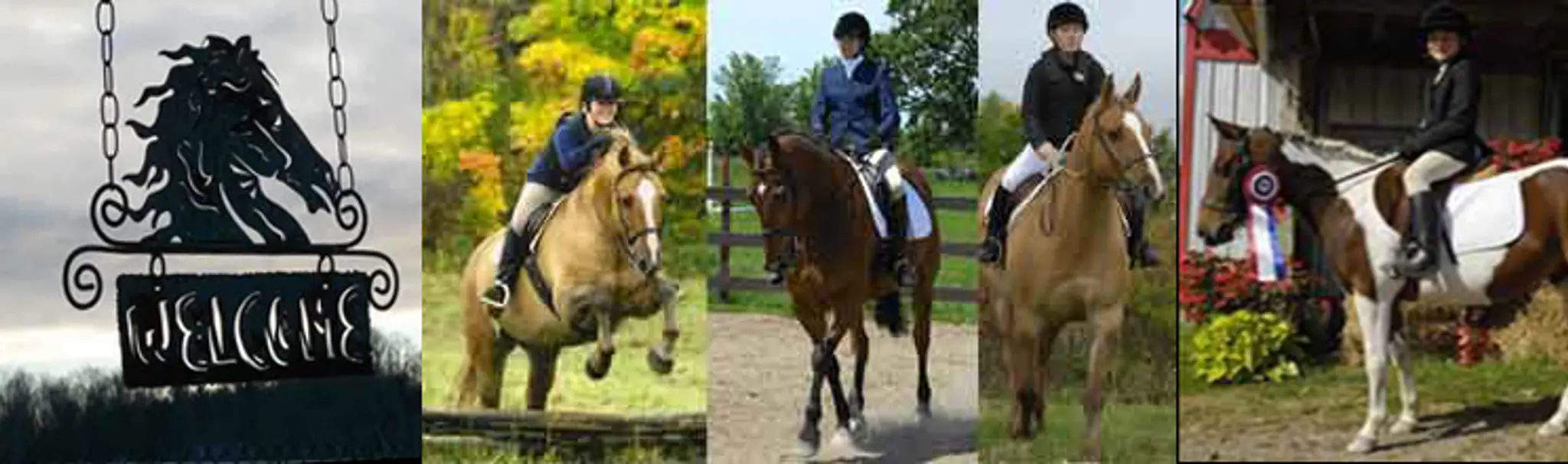 Corner Stone Farm Equestrian Centre